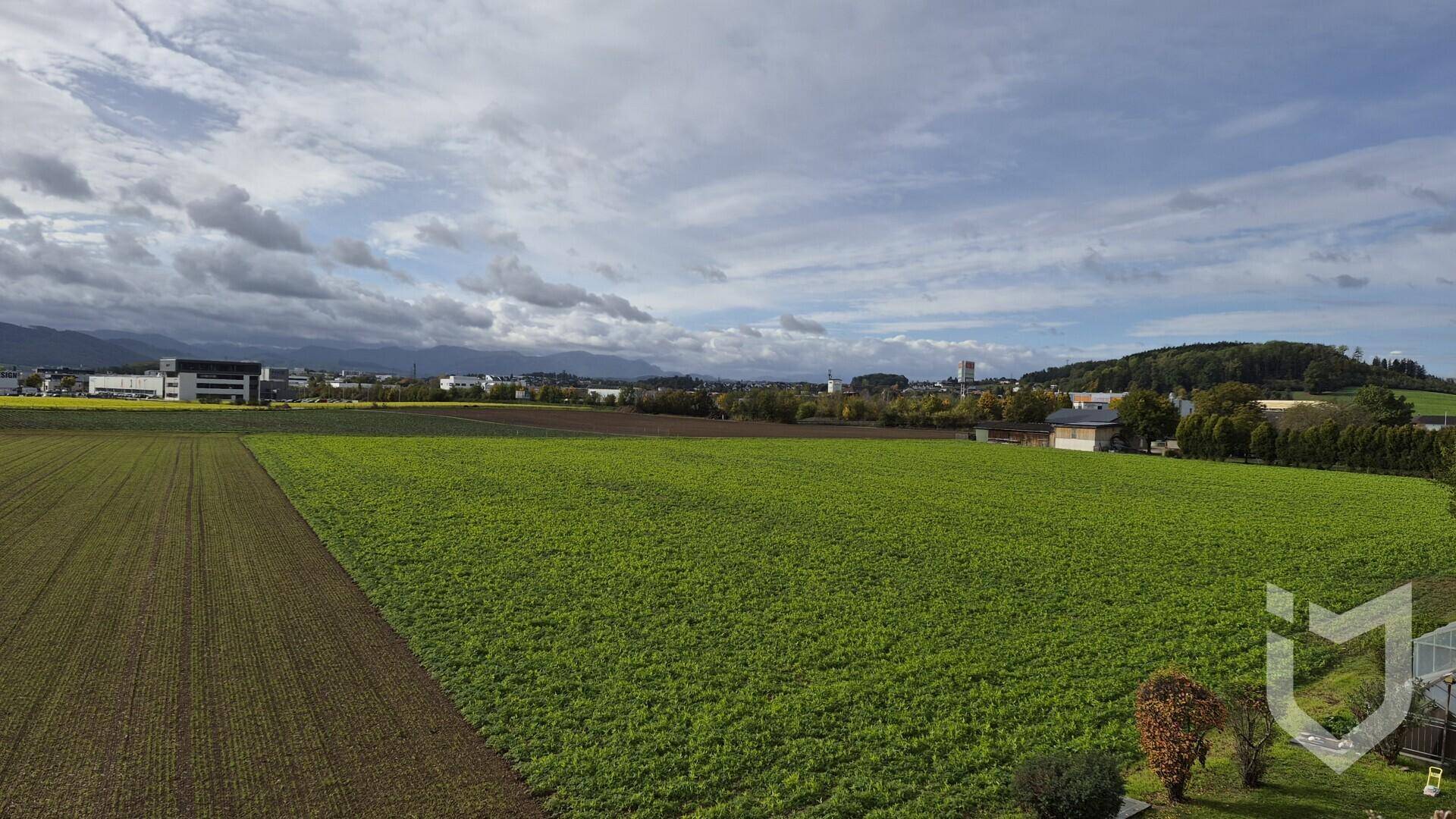 Weitläufige grüne Felder mit Blick auf eine Siedlung und Berge am Horizont unter bewölktem Himmel.