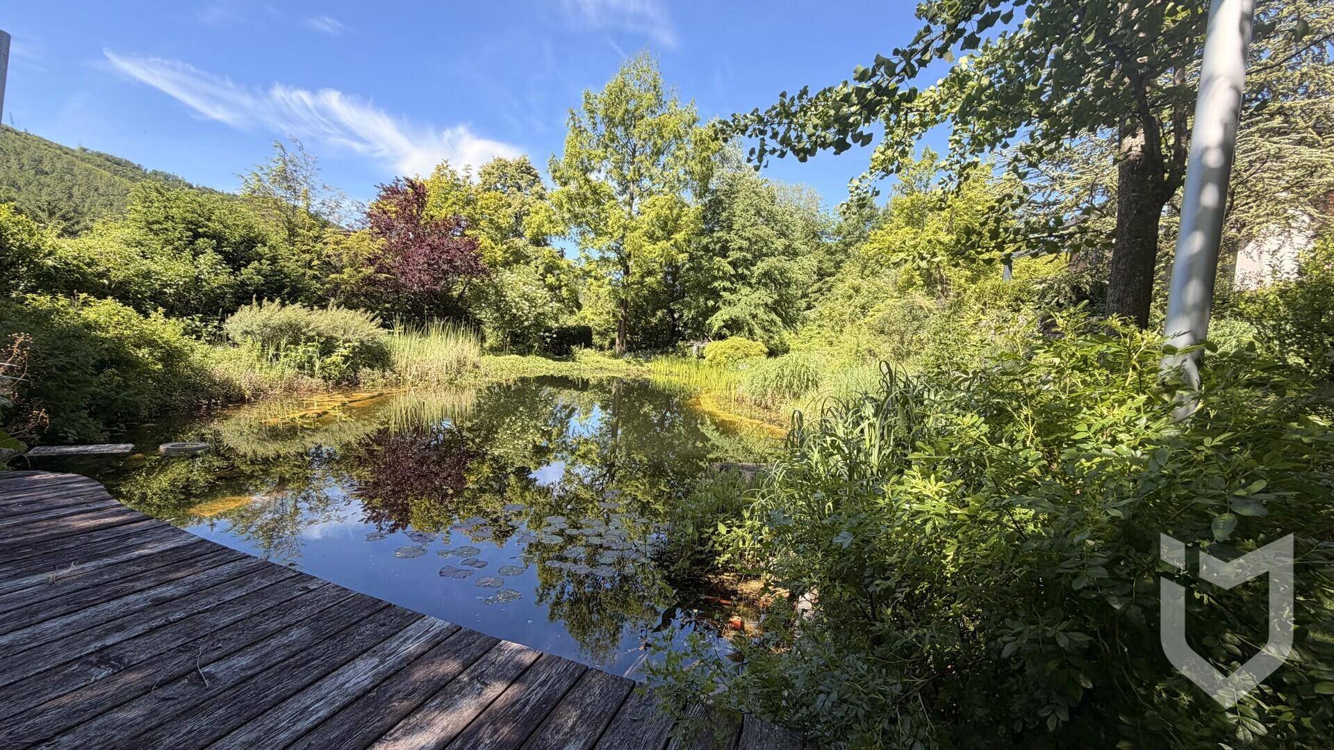 Natürlicher Teich mit Holzsteg, umgeben von üppiger Vegetation und Schilf.