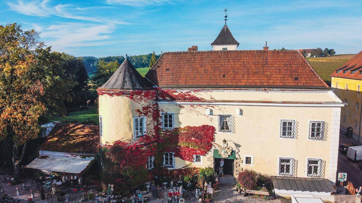 Luftaufnahme eines historischen Gebäudes mit rotem Dach, umgeben von grüner Landschaft und Weinbergen.
