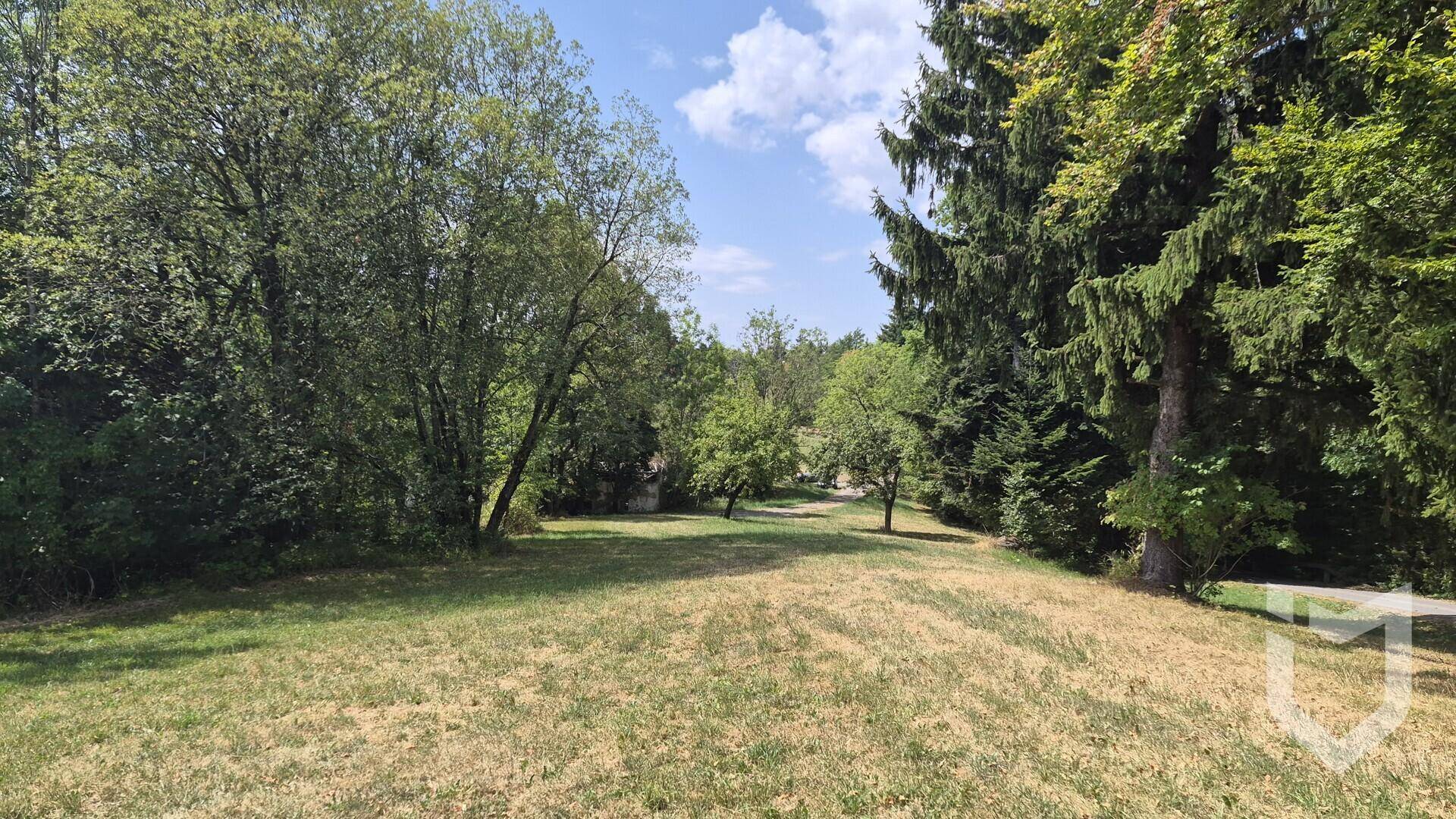 Weitläufige Rasenfläche, umgeben von hohen Bäumen und Sträuchern, ideal für einen naturnahen Garten.