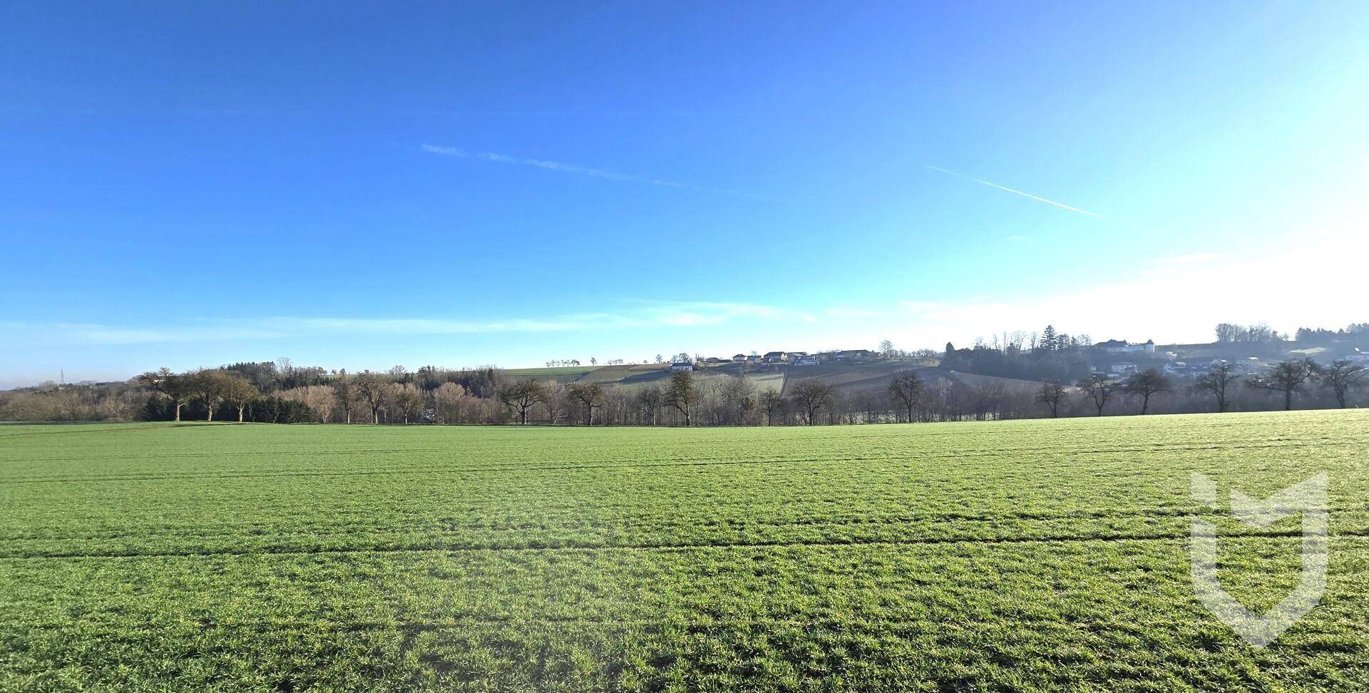 Aussicht Richtung Osten