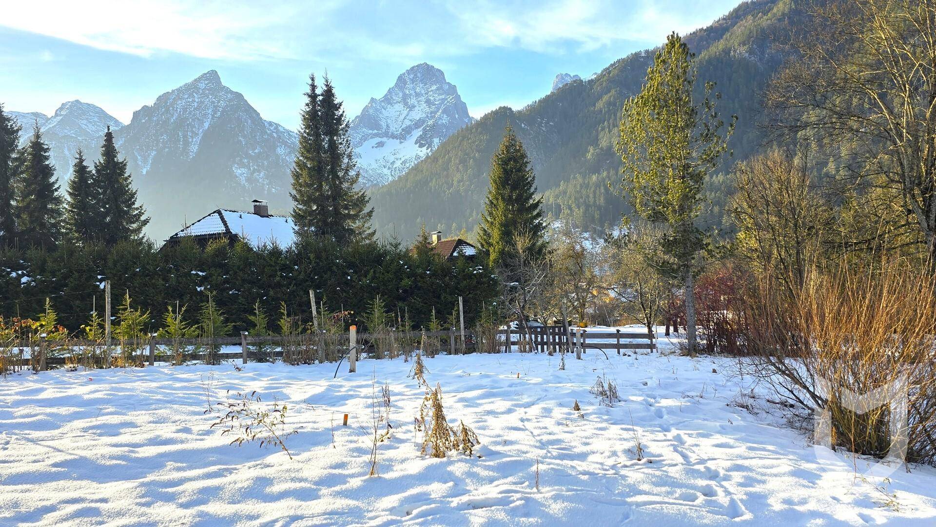 Winterliche Landschaft mit verschneitem Grundstück, umgeben von Bäumen und majestätischen Bergen.