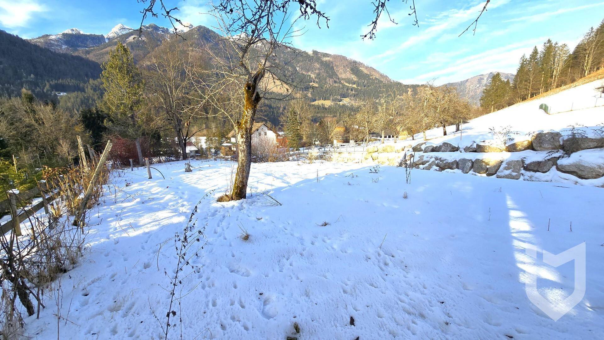 Verschneites Gelände mit natürlicher Hanglage und Felsen, umgeben von winterlicher Vegetation und Bergen.