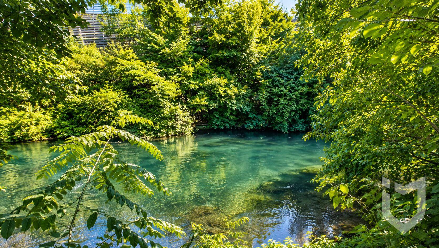 Idyllischer Blick auf einen klaren, grünen Fluss oder See, umgeben von dichtem, üppigem Grün und Bäumen.
