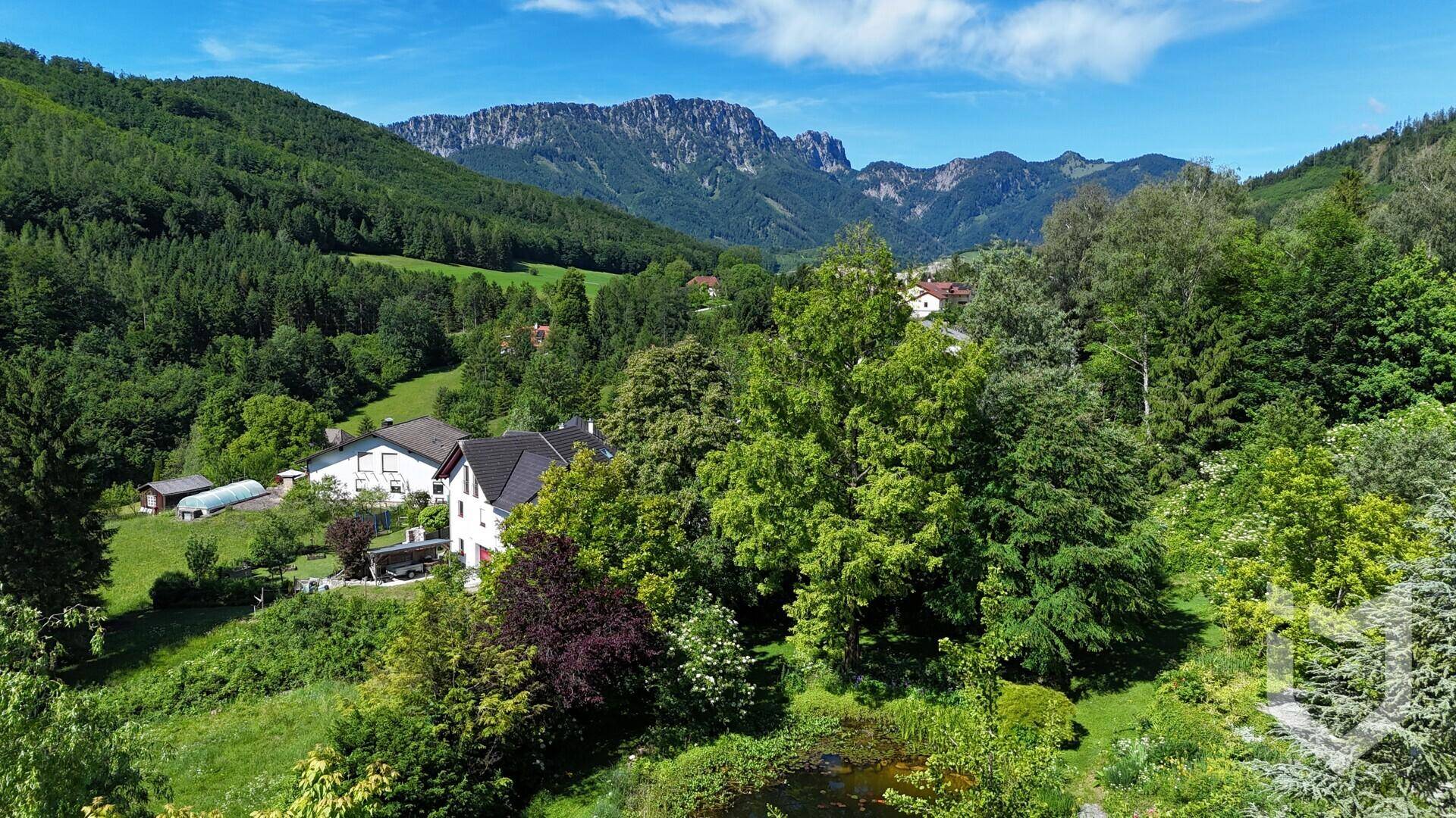 Panoramablick auf die malerische Landschaft mit bewaldeten Bergen und vereinzelten Häusern.