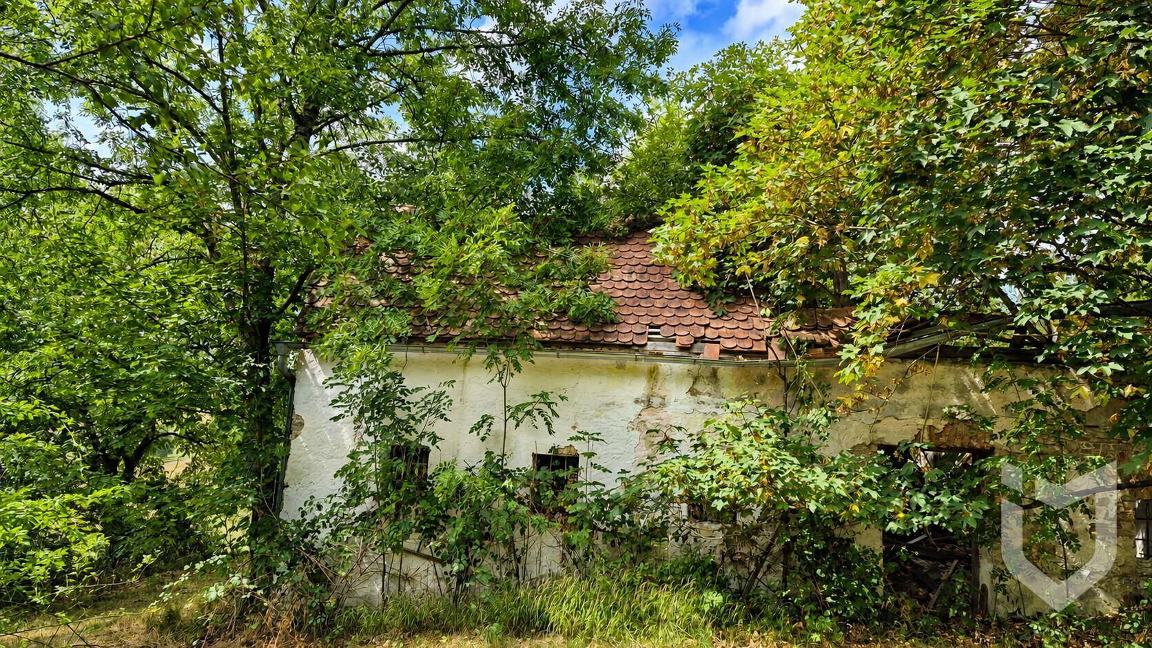 Altes, verfallenes Gebäude mit beschädigtem Dach, umgeben von dichtem Grün und überwuchernder Vegetation.