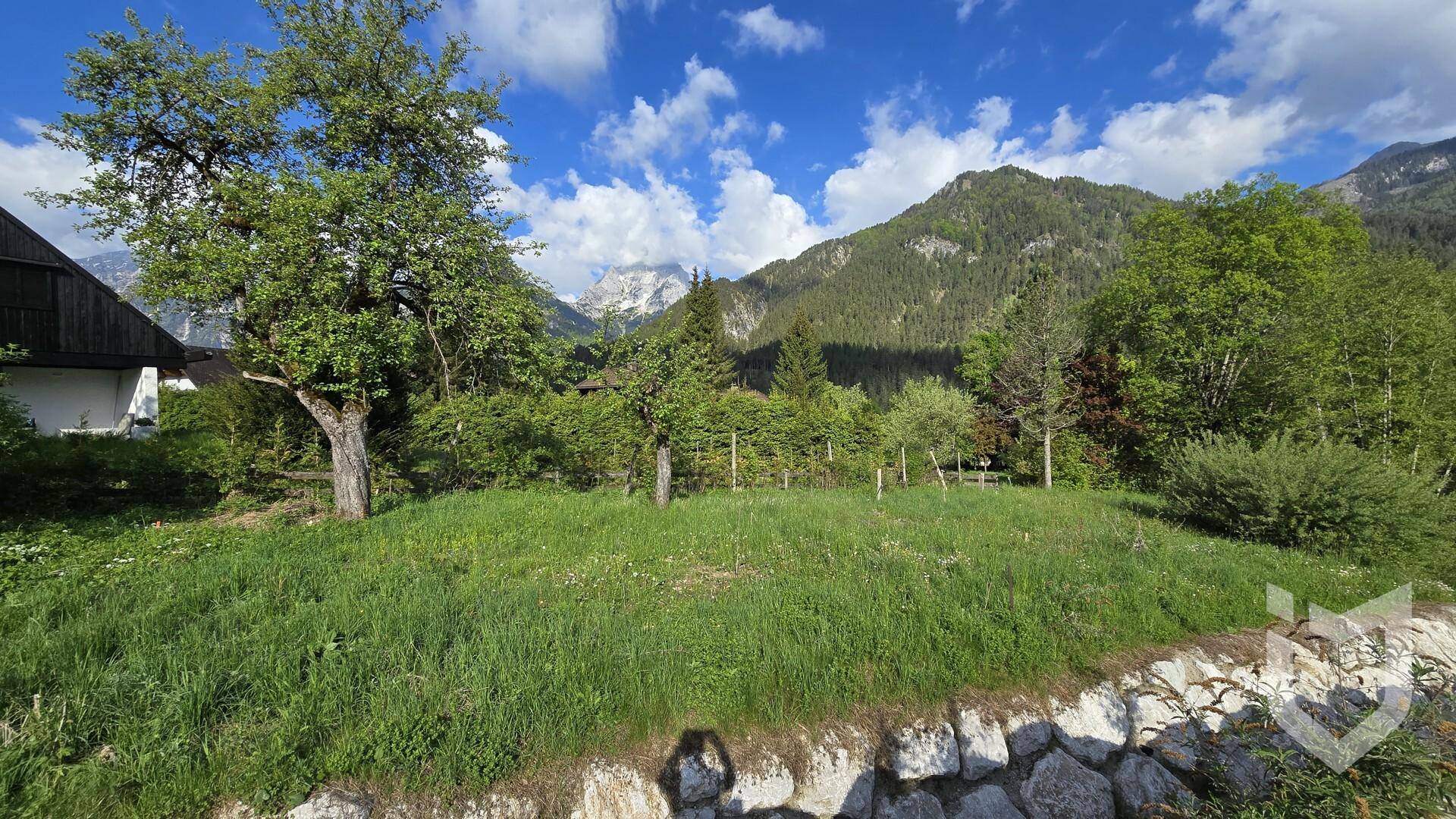 Grünes, sonniges Grundstück mit üppiger Vegetation und weitem Blick auf die majestätischen Berge.