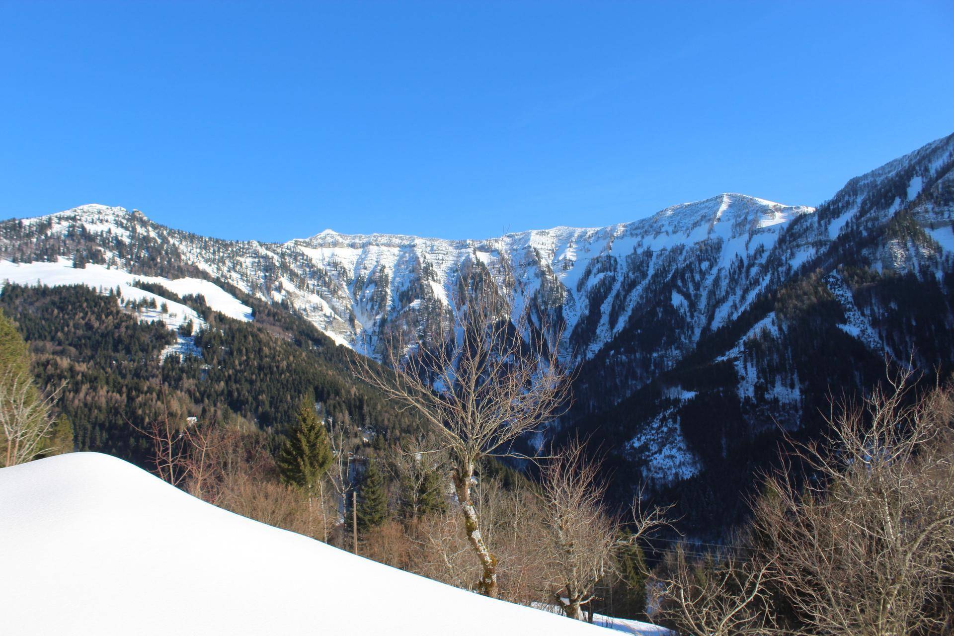Majestätische schneebedeckte Berge und Wälder unter einem strahlend blauen Winterhimmel.