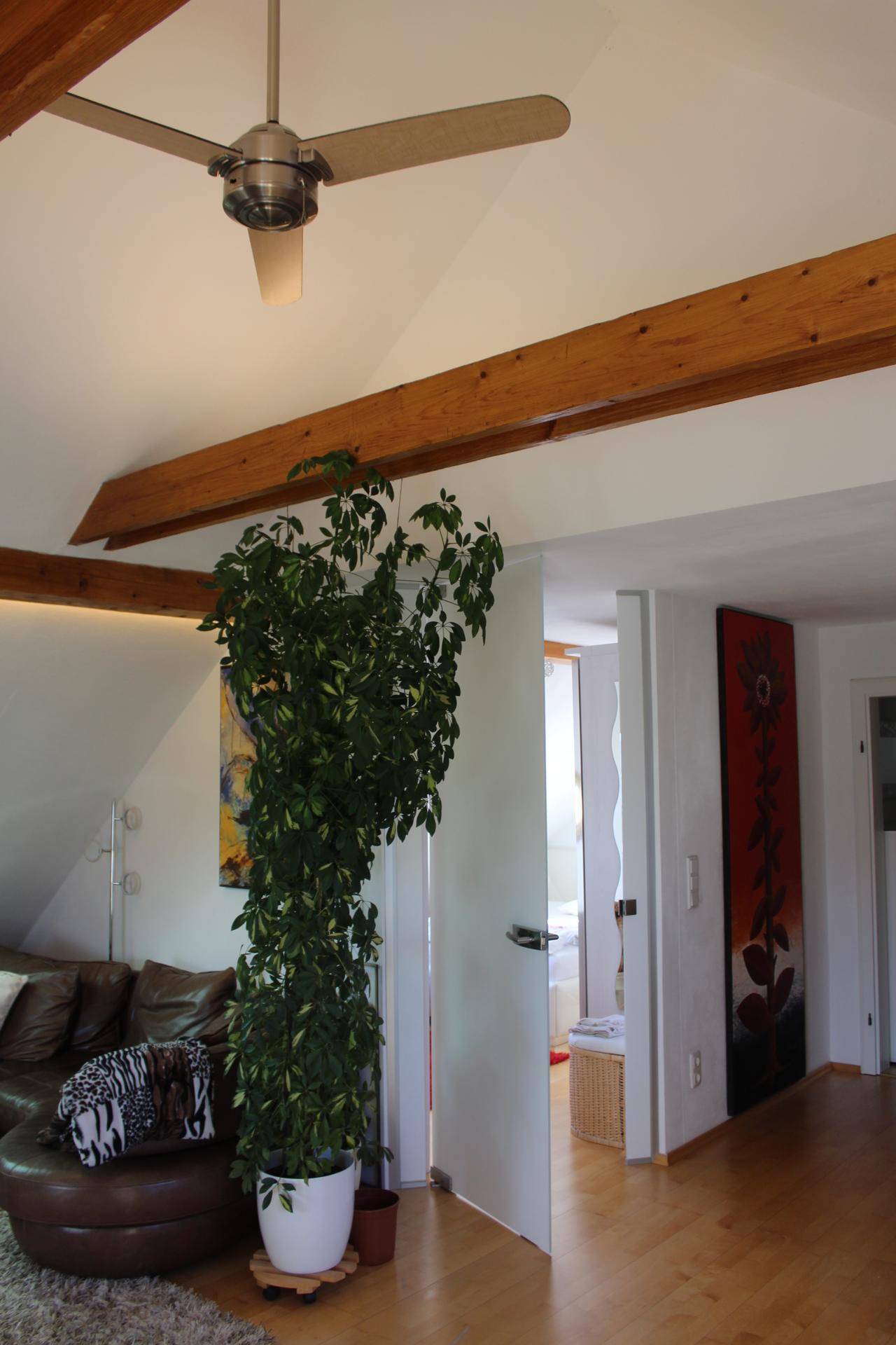 Geräumiges Wohnzimmer mit hohen Decken, Holzbalken, Deckenventilator und Zugang zu einem weiteren Raum.