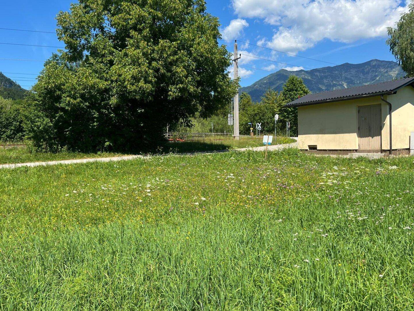 Weitläufige Grasfläche mit großem Baum und kleinem Gebäude, umgeben von Bergen und Bahngleisen.