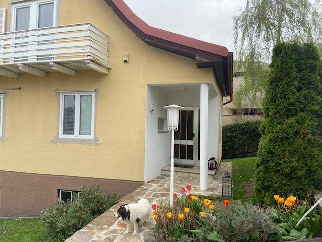Eingangsbereich des Hauses mit Steinweg, Blumenbeeten und einem kleinen Hund im Vorgarten.