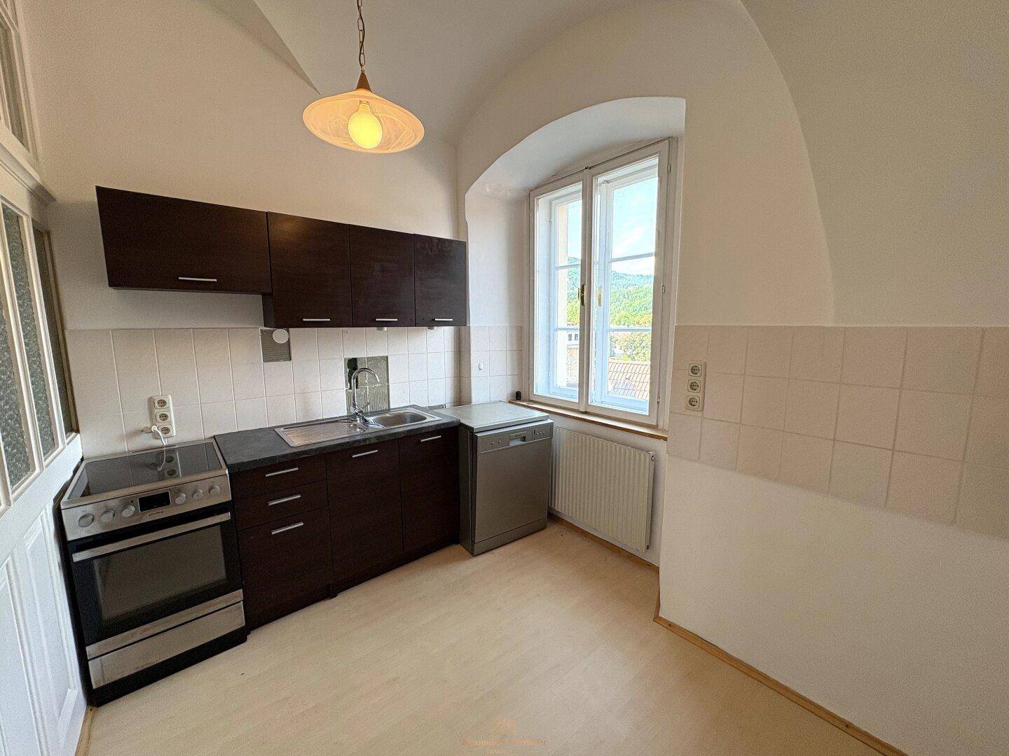 Kleine Küche mit dunklen Schränken, Spülmaschine und Fenster mit Blick nach draußen.