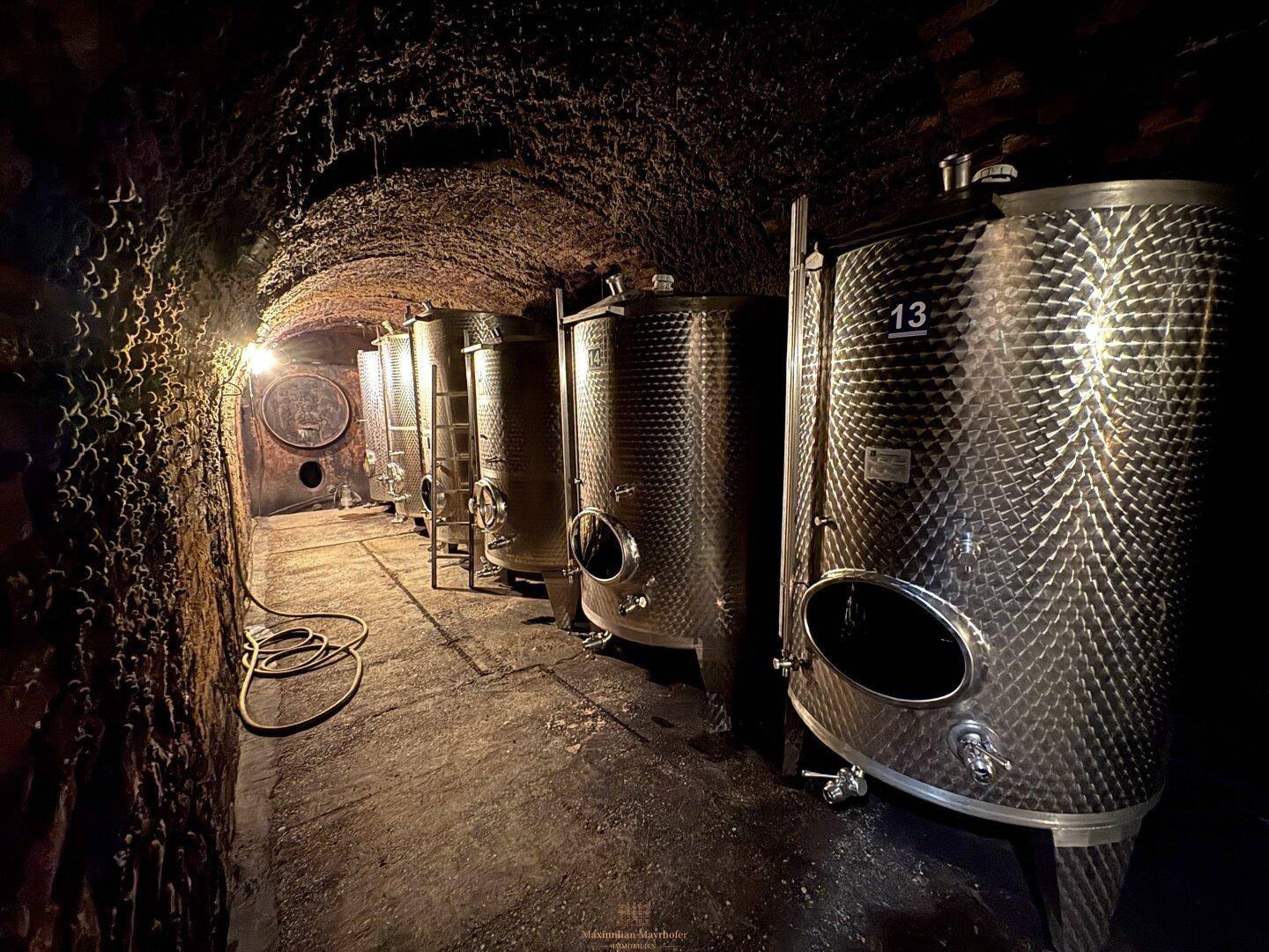 Dunkler Kellerraum mit weiteren Edelstahltanks und gewölbter Decke für die Weinproduktion.