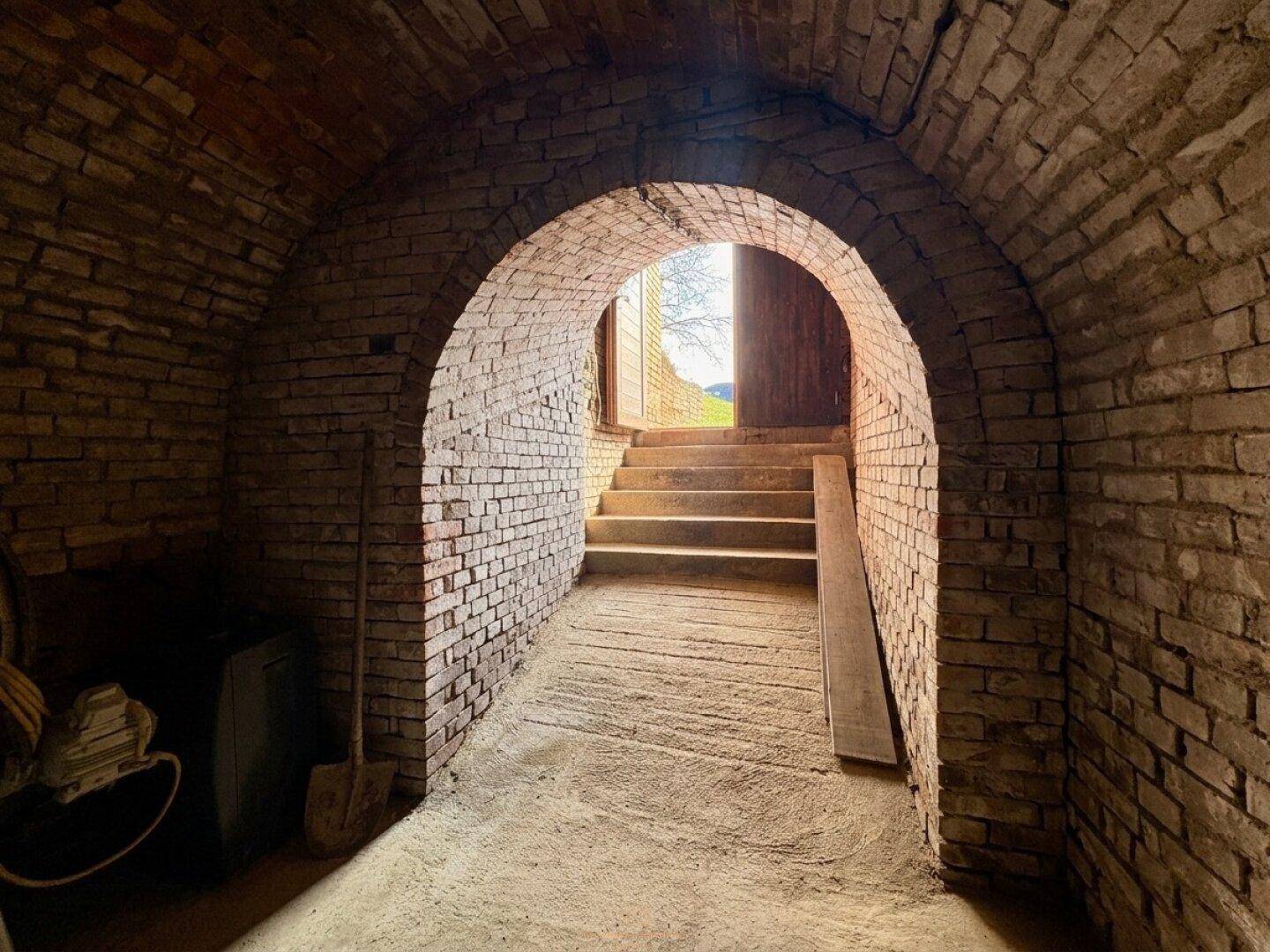 Gewölbter Kellereingang aus Ziegeln mit Treppe, die ins Freie führt, und natürlichem Lichteinfall.