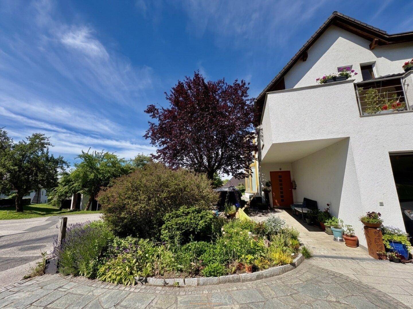 Eingangsbereich des Hauses mit gepflegtem Vorgarten und einem großen Baum.