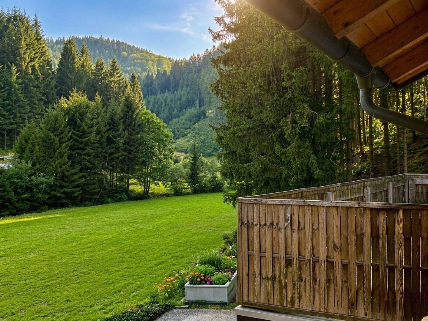 Malerischer Blick vom Garten auf die grüne Wiese und den dichten Wald im Sonnenlicht.