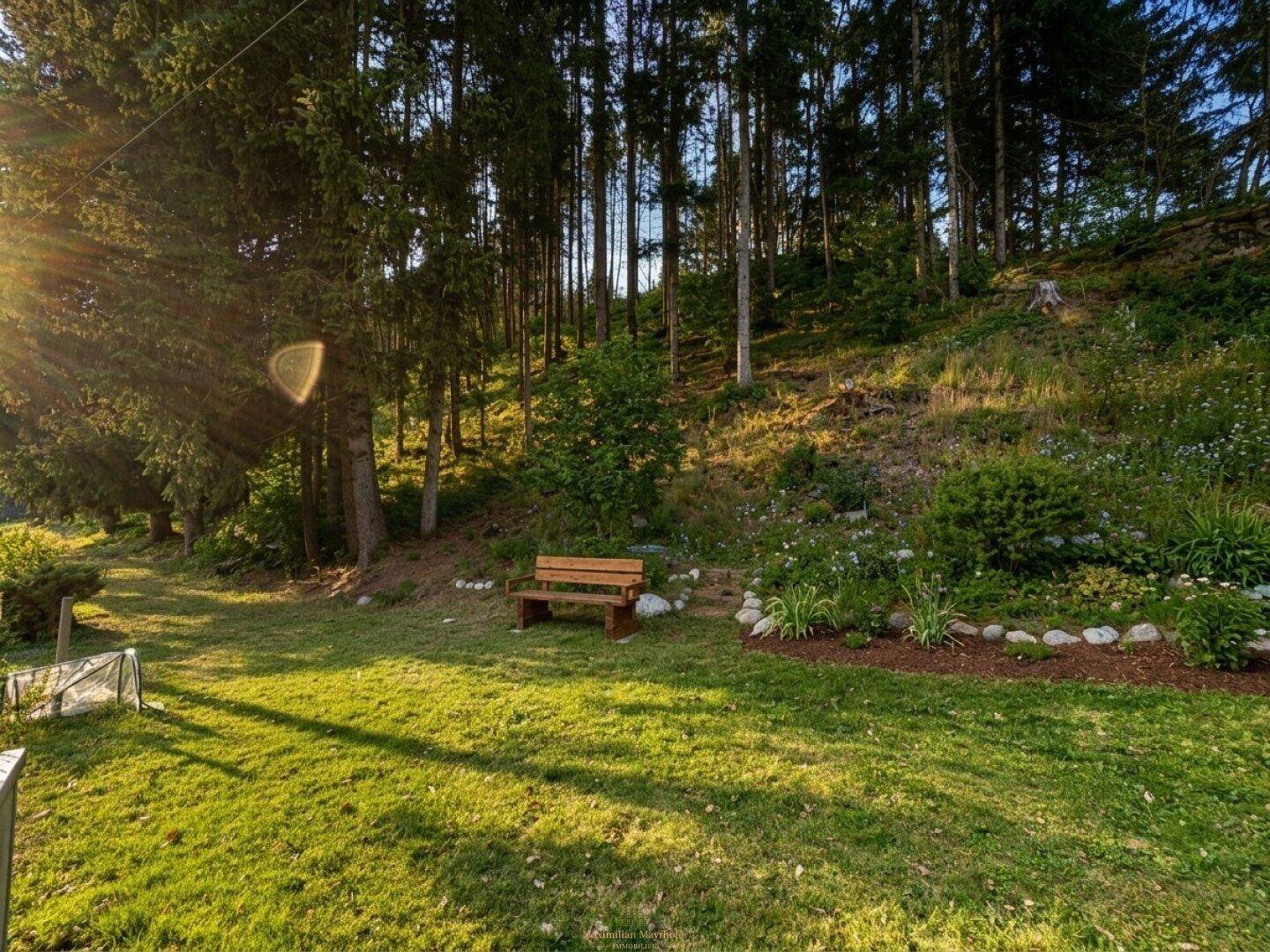 Ruhiger Gartenbereich mit Holzbank und Blick auf den umliegenden Wald bei Sonnenuntergang.