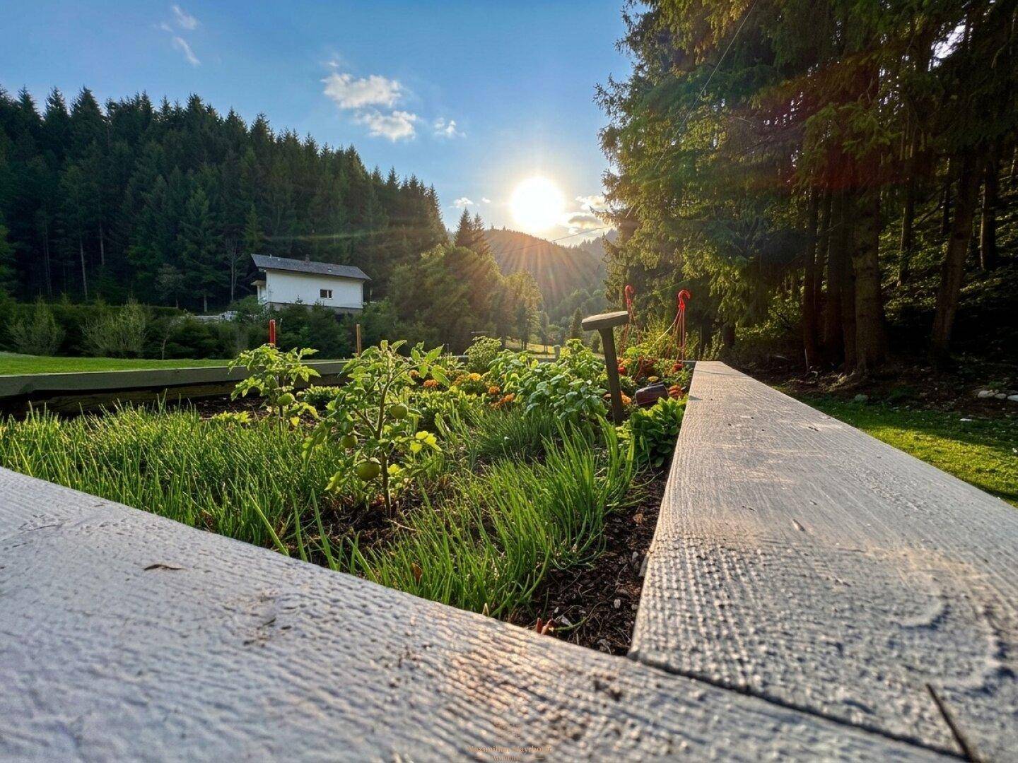 Erhöhtes Gemüsebeet im Garten mit Blick auf ein Haus und den Wald bei Sonnenuntergang.