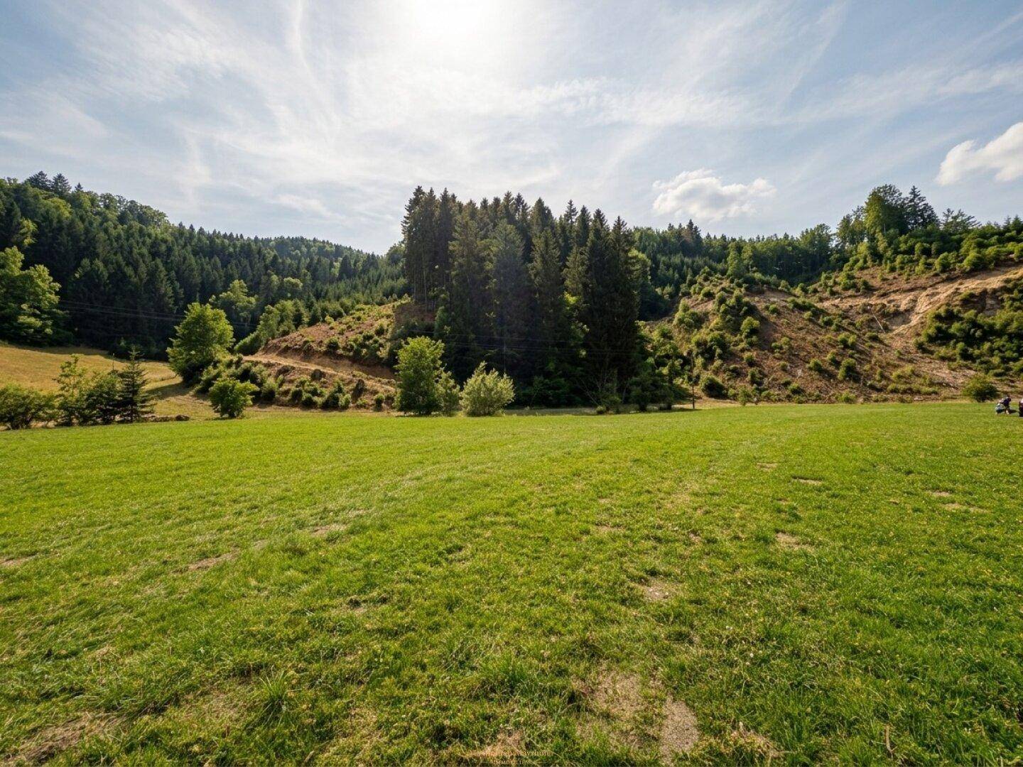 Weitläufige grüne Wiesen und bewaldete Hügel unter einem bewölkten Sommerhimmel.