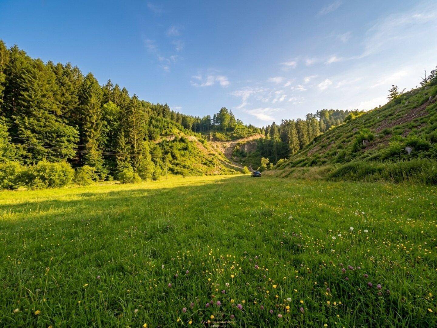 Idyllische grüne Wiesen und bewaldete Hügel mit einem Auto in der Ferne bei Sonnenuntergang.
