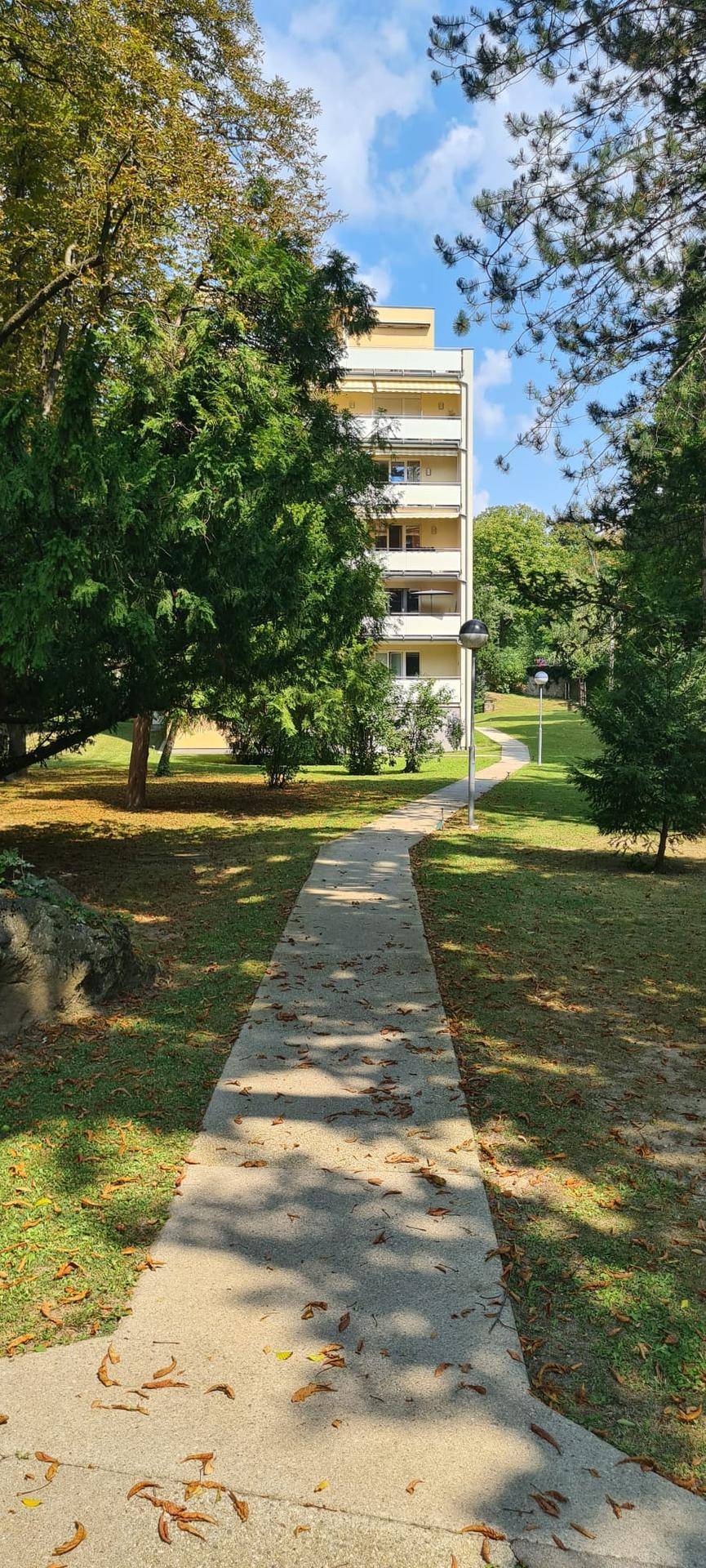 Slide 8