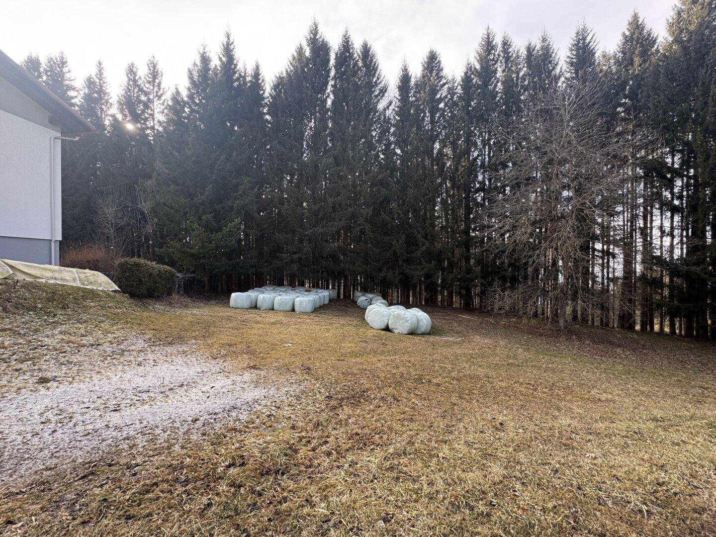 Außenansicht eines Gebäudes neben einem Waldrand mit Heuballen auf dem Rasen.