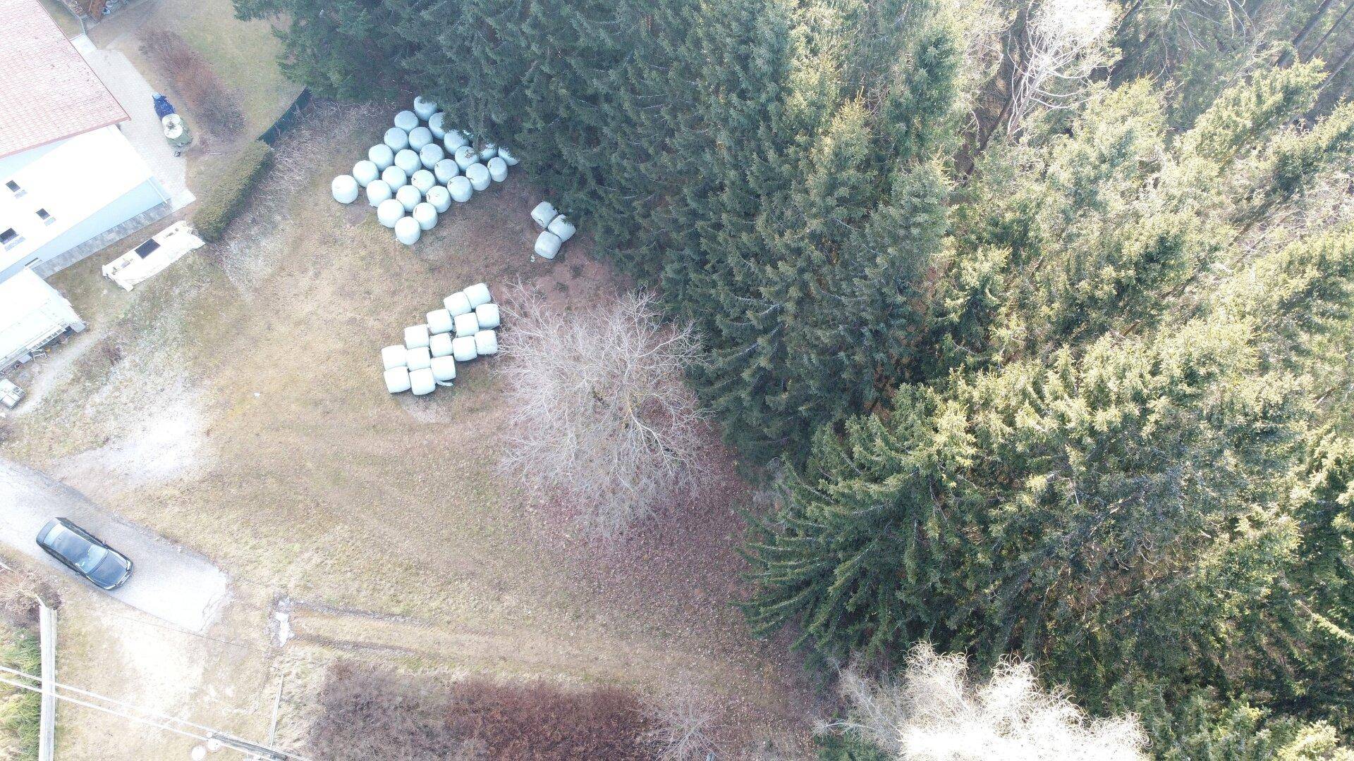Luftaufnahme eines Grundstücks mit Waldrand, Heuballen und einem geparkten Auto.