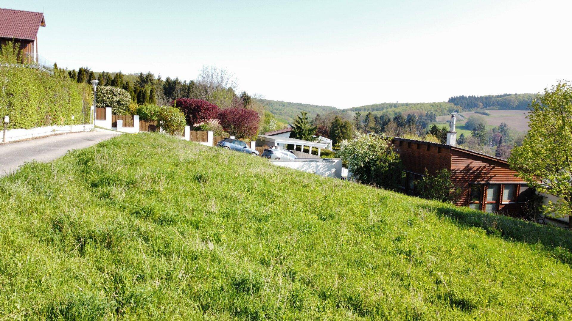 Einmalige Gelegenheit! Grundstück mit traumhaften Weitblick vor den Toren Wiens! - Ansicht 3