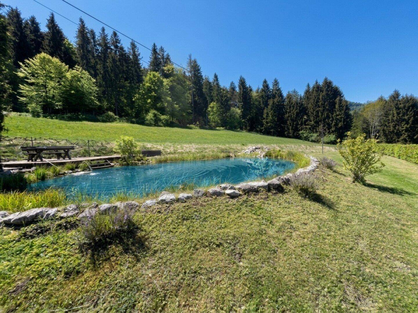 Natürlicher Teich mit Holzsteg und Sitzgelegenheiten, umgeben von üppigem Grün und Wald.