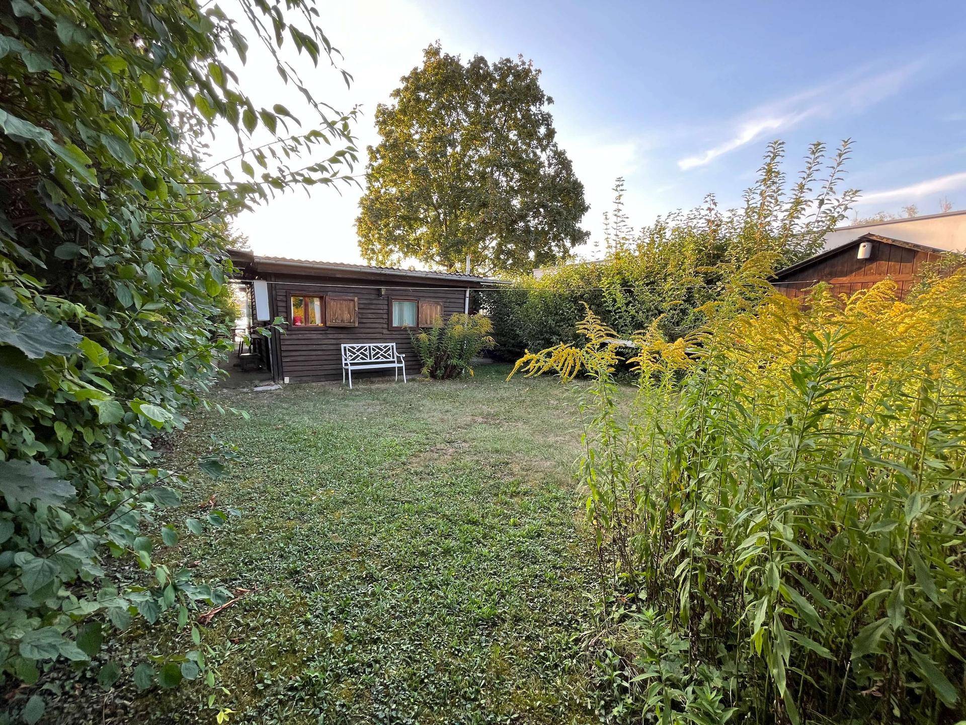 Ruhiger Gartenbereich hinter dem Holzhaus mit Rasenfläche, Hecken und einer weißen Gartenbank.