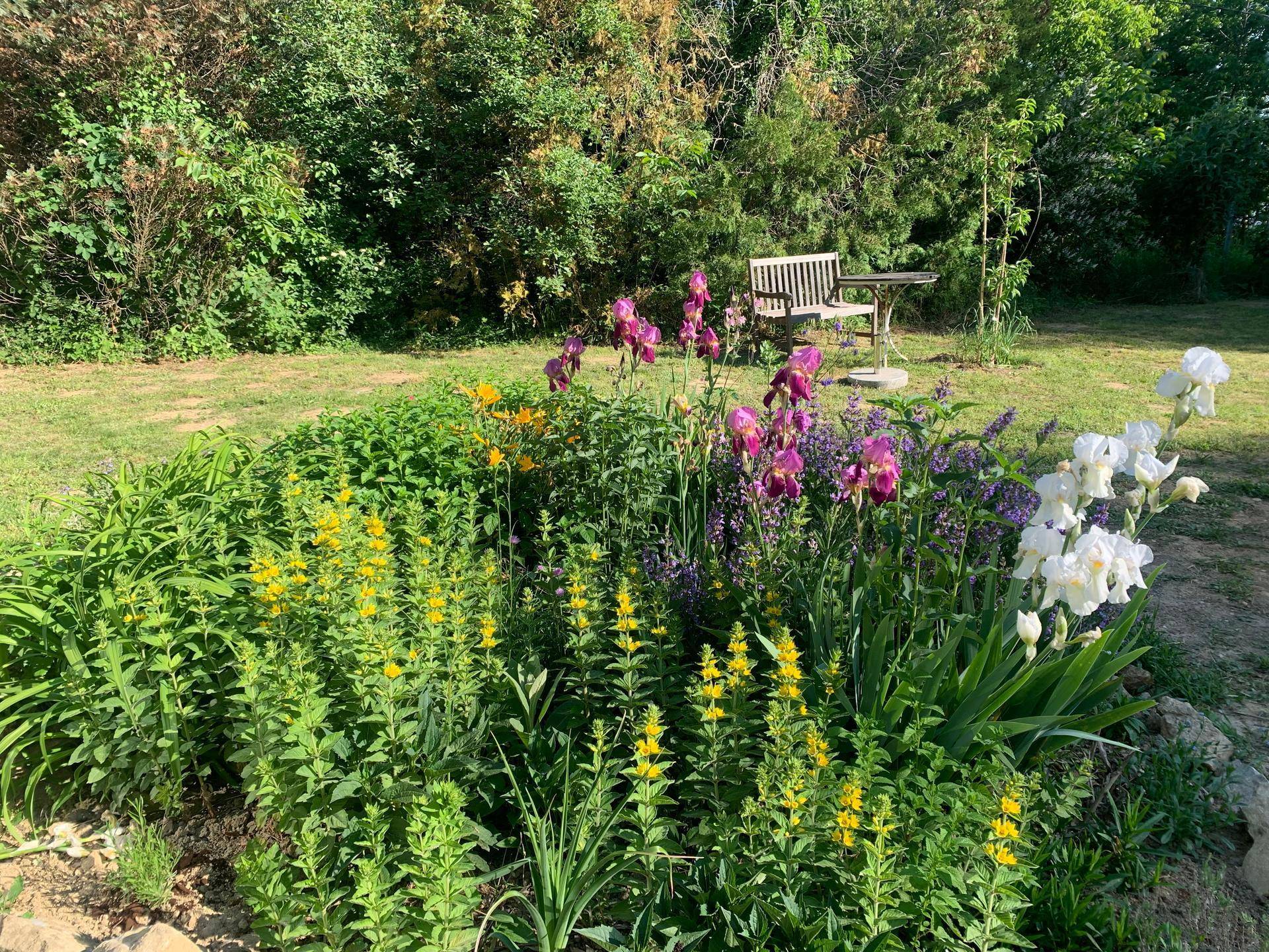 Farbenfroher Garten mit vielfältigen Blumenbeeten und einem ruhigen Sitzbereich im Hintergrund.