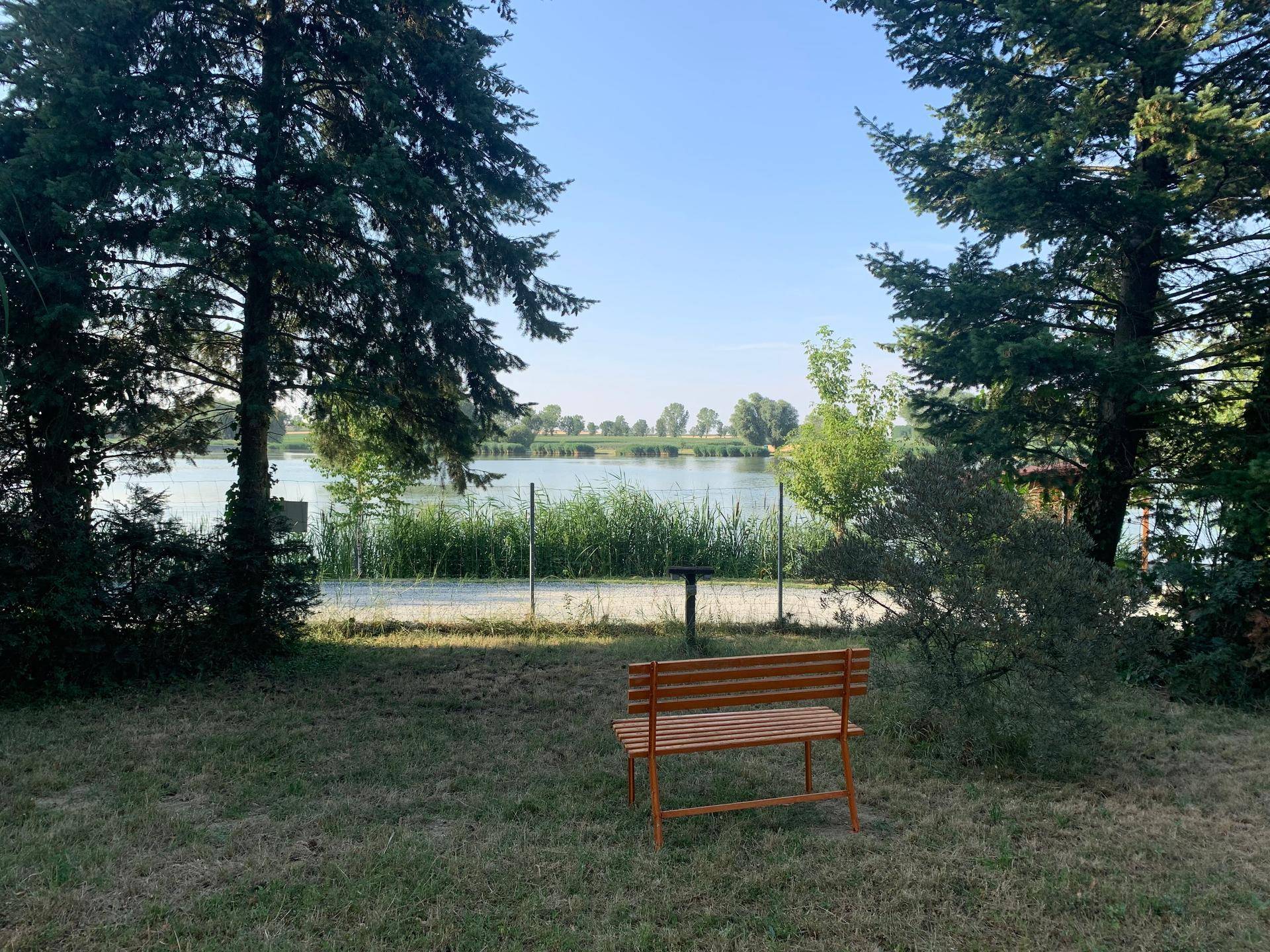 Ruhiger Gartenbereich mit Holzbank und malerischem Blick auf den See durch die Bäume.
