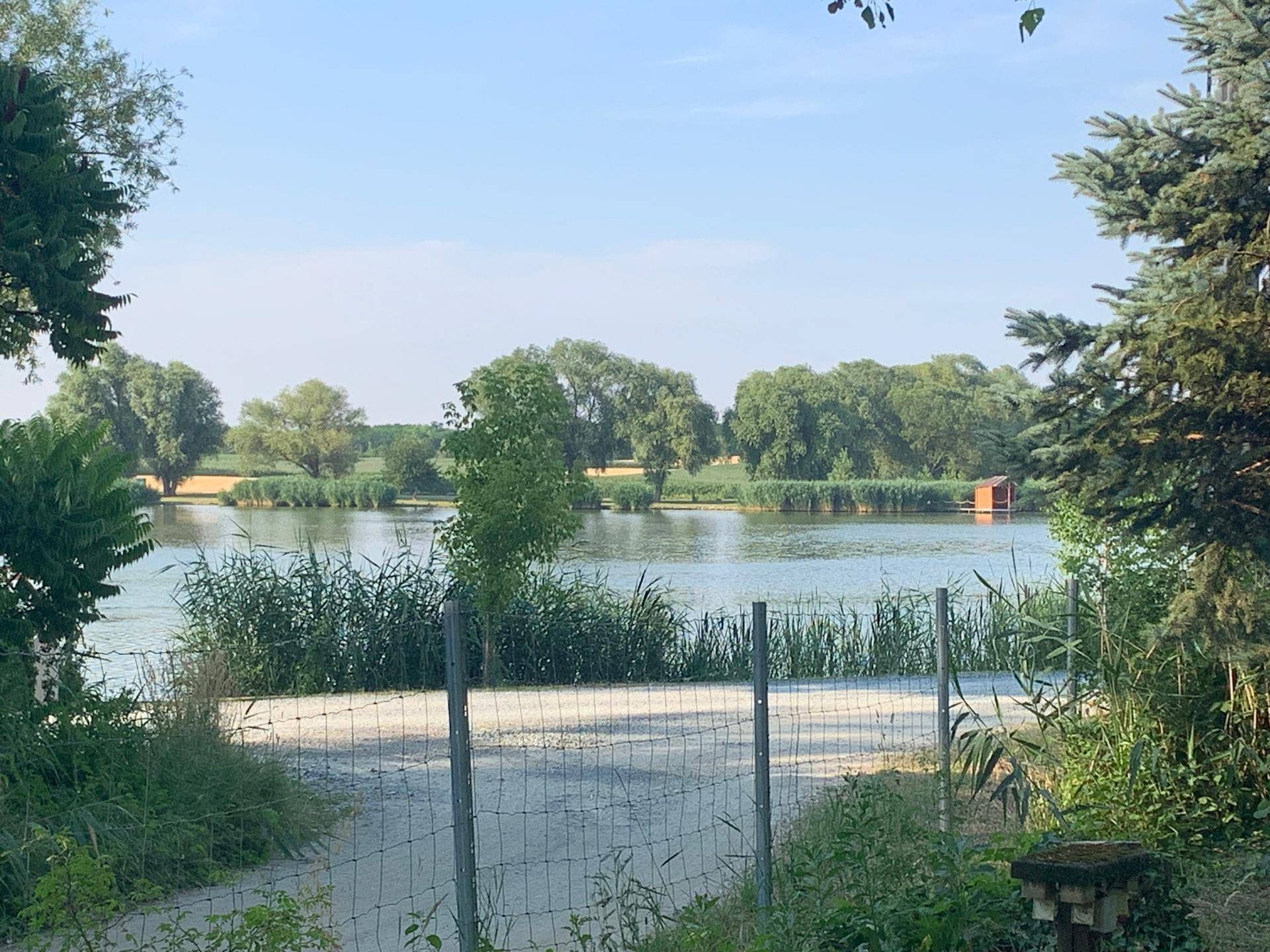 Malerischer Blick auf einen ruhigen See, umgeben von Schilf und Bäumen in der Ferne.