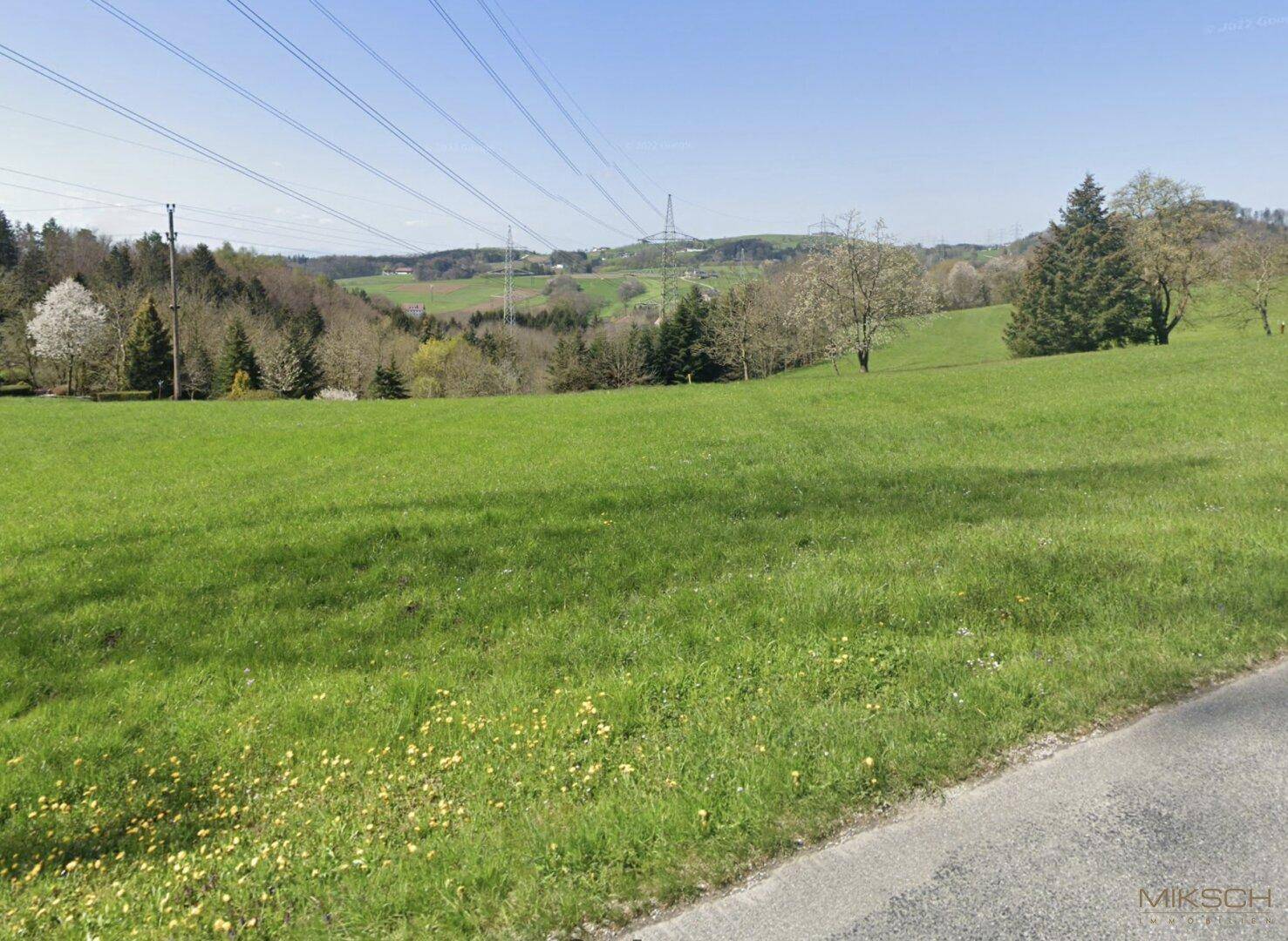 Grüne Wiesenlandschaft mit sanften Hügeln, Bäumen und Stromleitungen am Horizont.