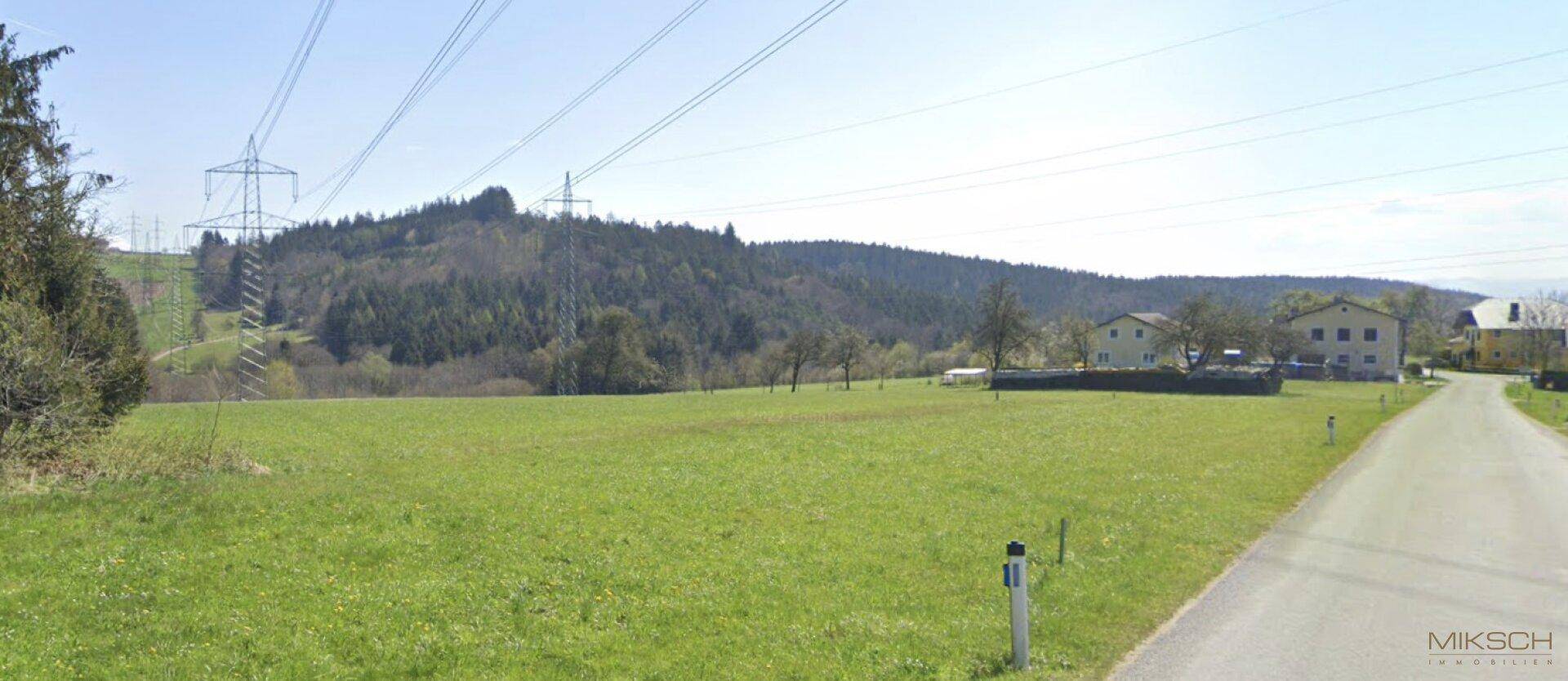 Weitläufige Landschaft mit grünen Wiesen, einer Straße und Häusern am Fuße eines bewaldeten Hügels.