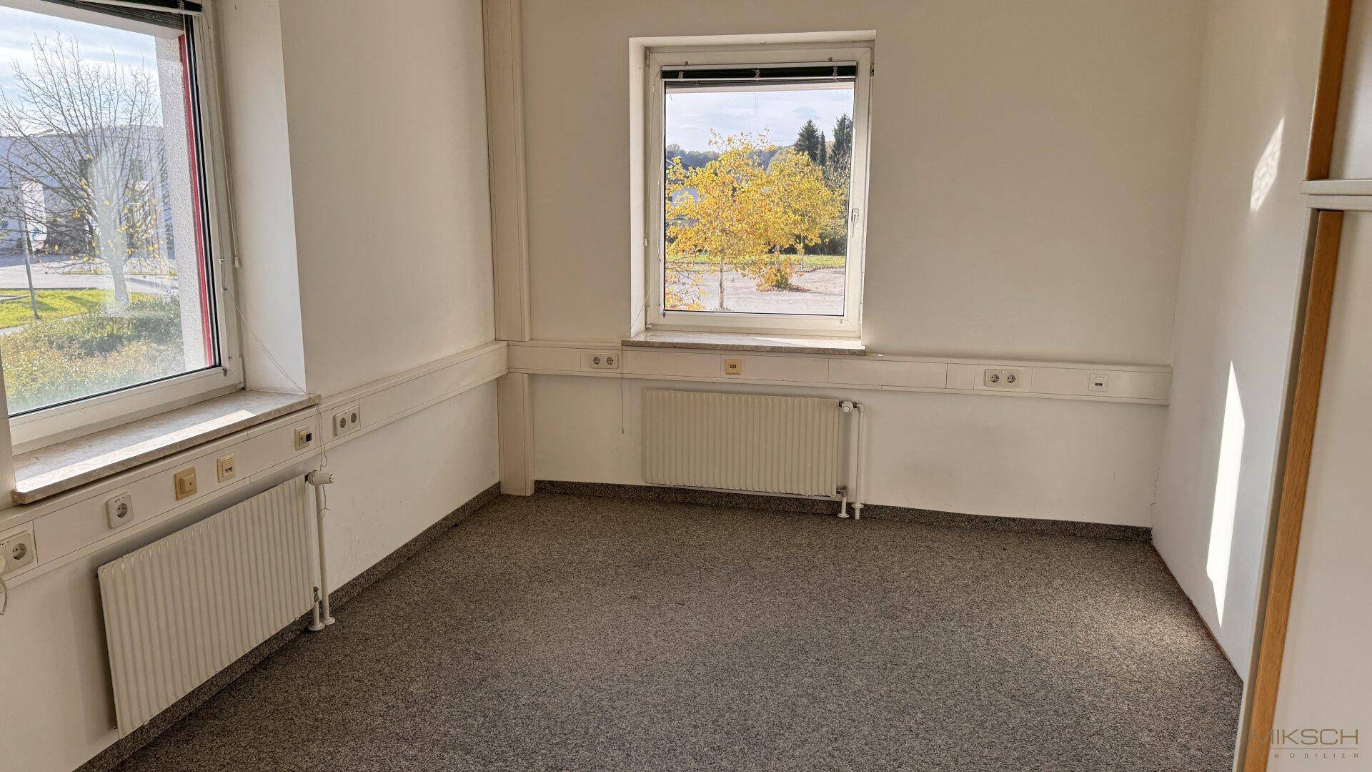 Leeres Büro mit Teppichboden, Heizkörper und einem Fenster mit Blick ins Grüne.
