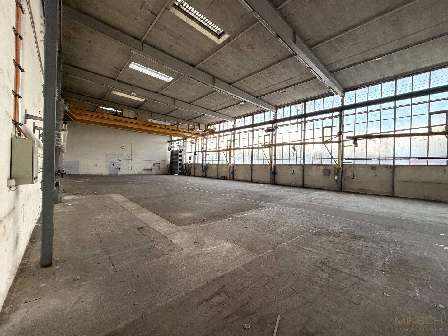 Helle Industriehalle mit einer langen Fensterfront, die viel Tageslicht hereinlässt, und Betonboden.