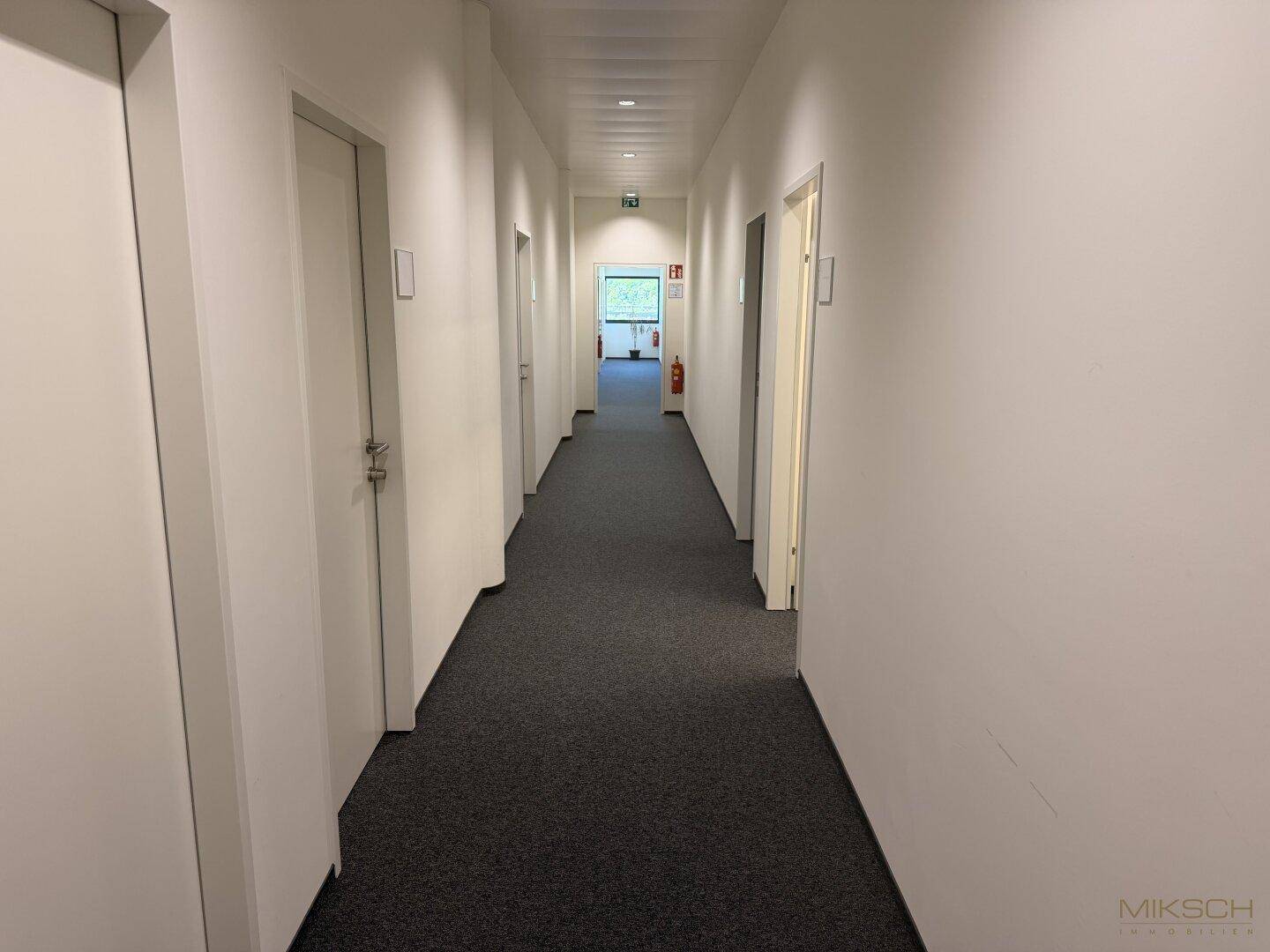 Langer, heller Flur mit mehreren Türen und Teppichboden, führt zu weiteren Büroräumen.