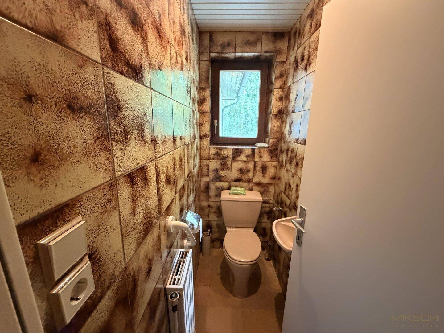 Kleines Gäste-WC mit gemusterten braunen Fliesen, Fenster und Heizkörper.