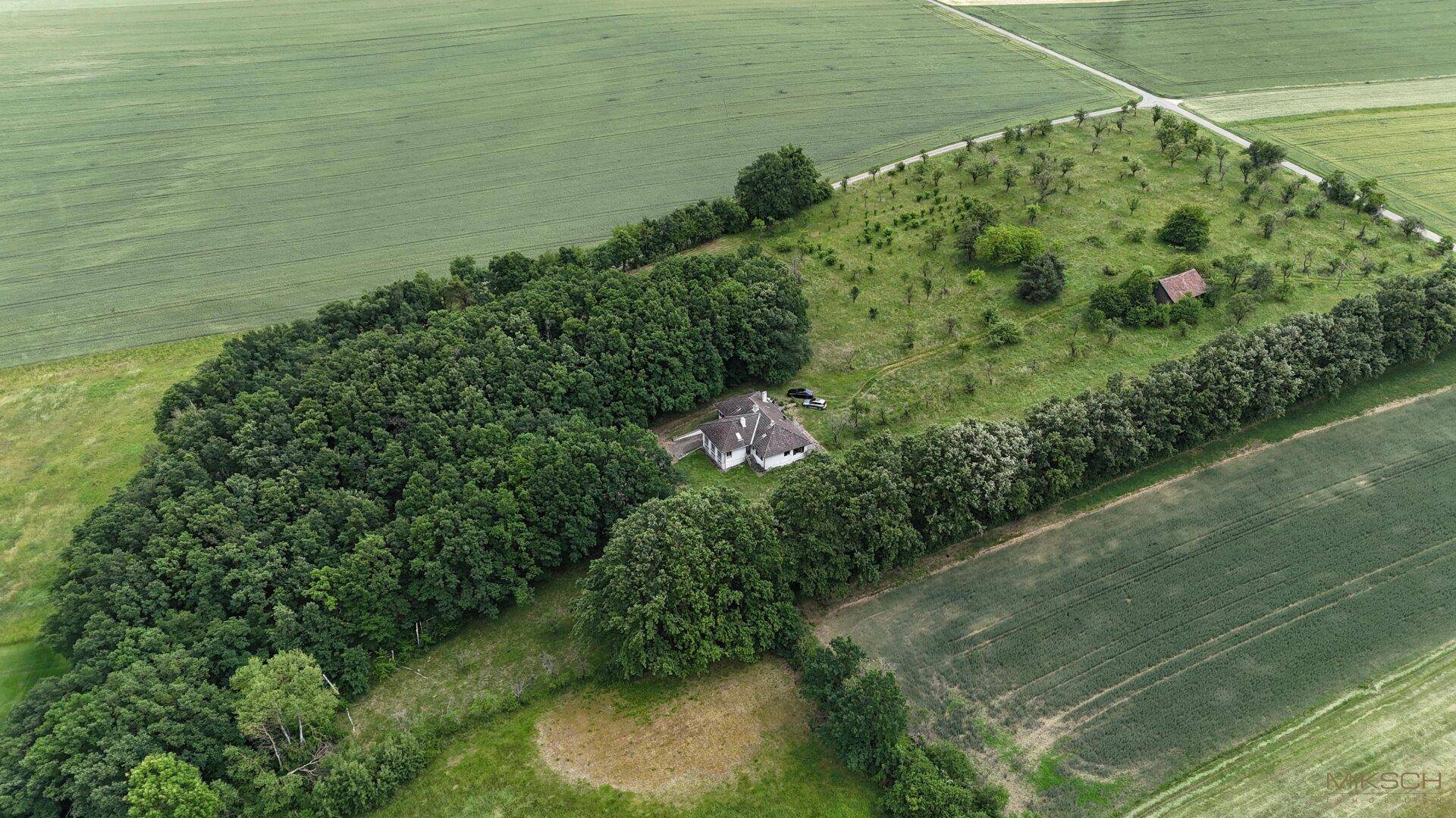 Weitläufige Luftaufnahme des Anwesens, eingebettet in eine Waldlandschaft mit angrenzenden Feldern.