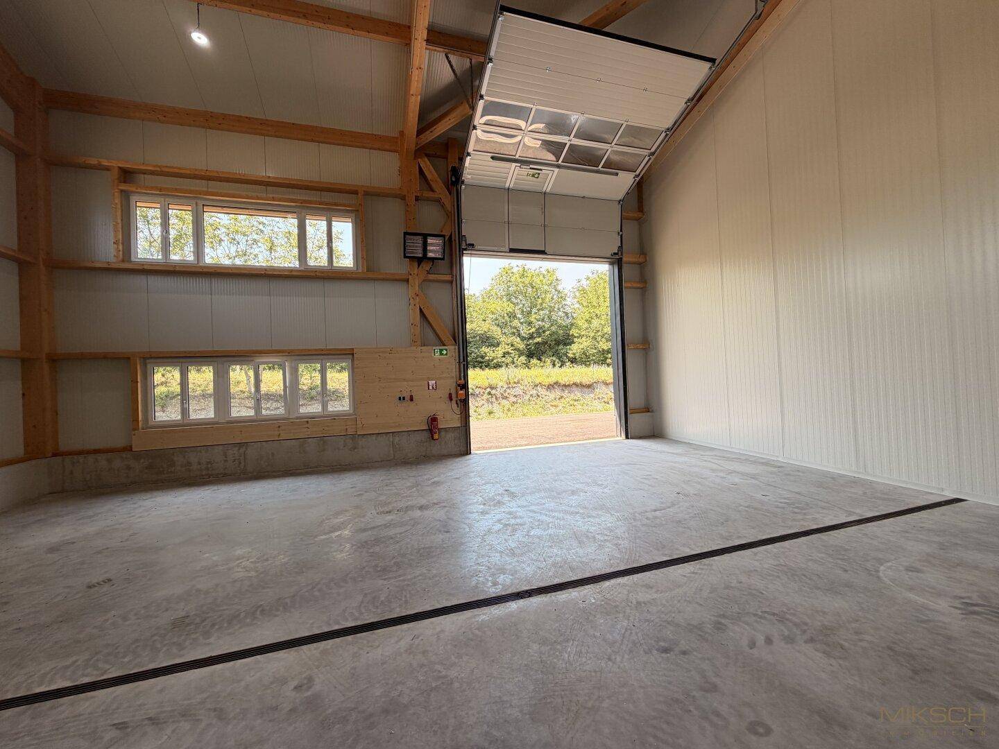 Erdgeschoss der Halle mit großem Rolltor, Betonboden und Blick ins Grüne.