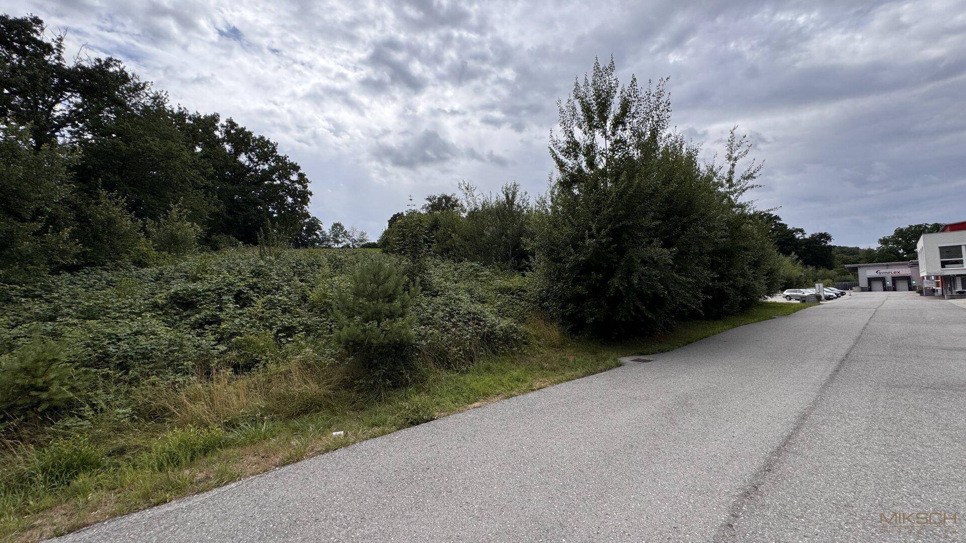 Unbebautes, bewachsenes Grundstück neben einer asphaltierten Straße mit Bäumen und Gebäuden im Hintergrund.
