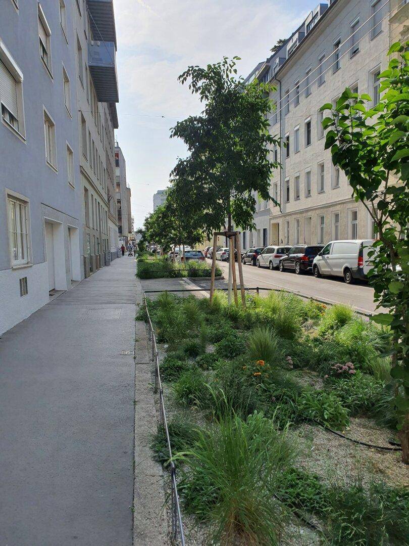 Belebte Straße mit Bürgersteig, parkenden Autos und einer begrünten Mittelinsel mit Bäumen.