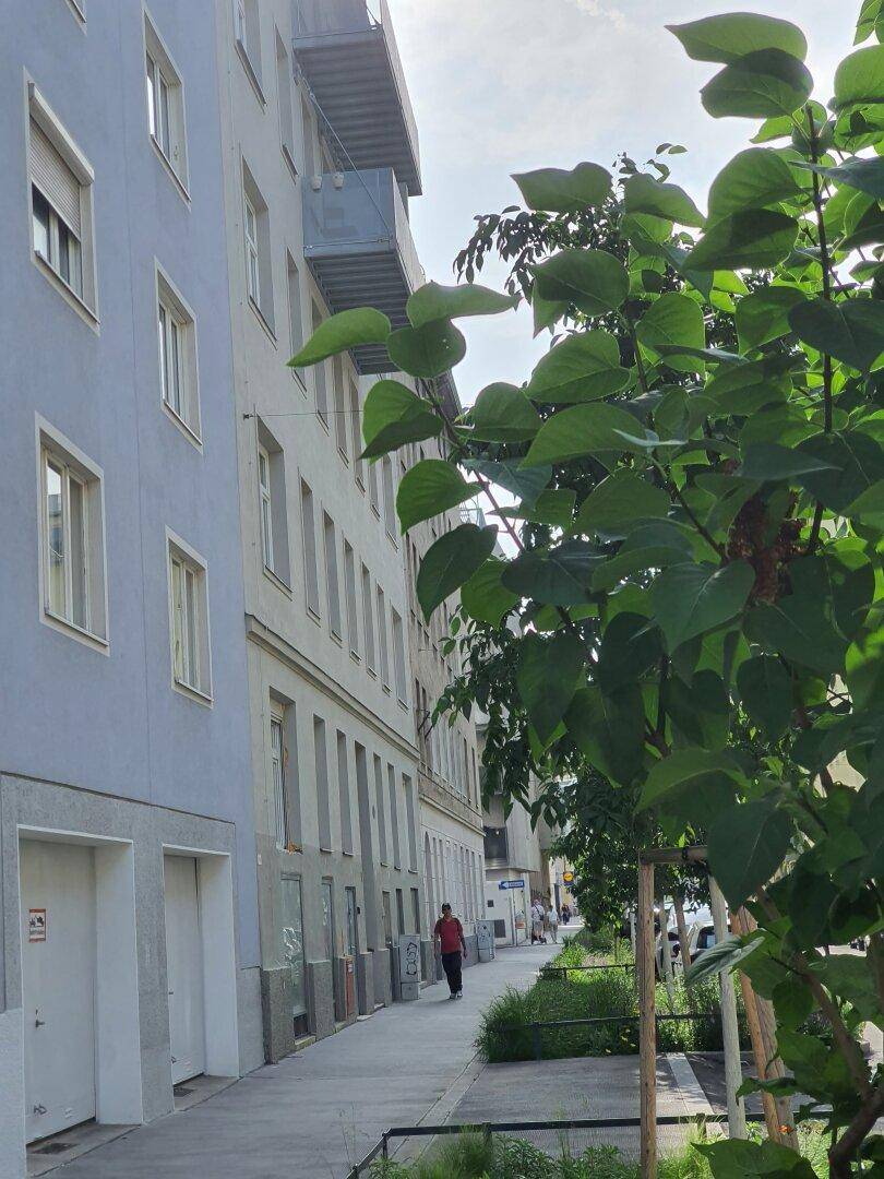 Fassade eines Wohngebäudes entlang eines Bürgersteigs mit Bäumen und einem Passanten.