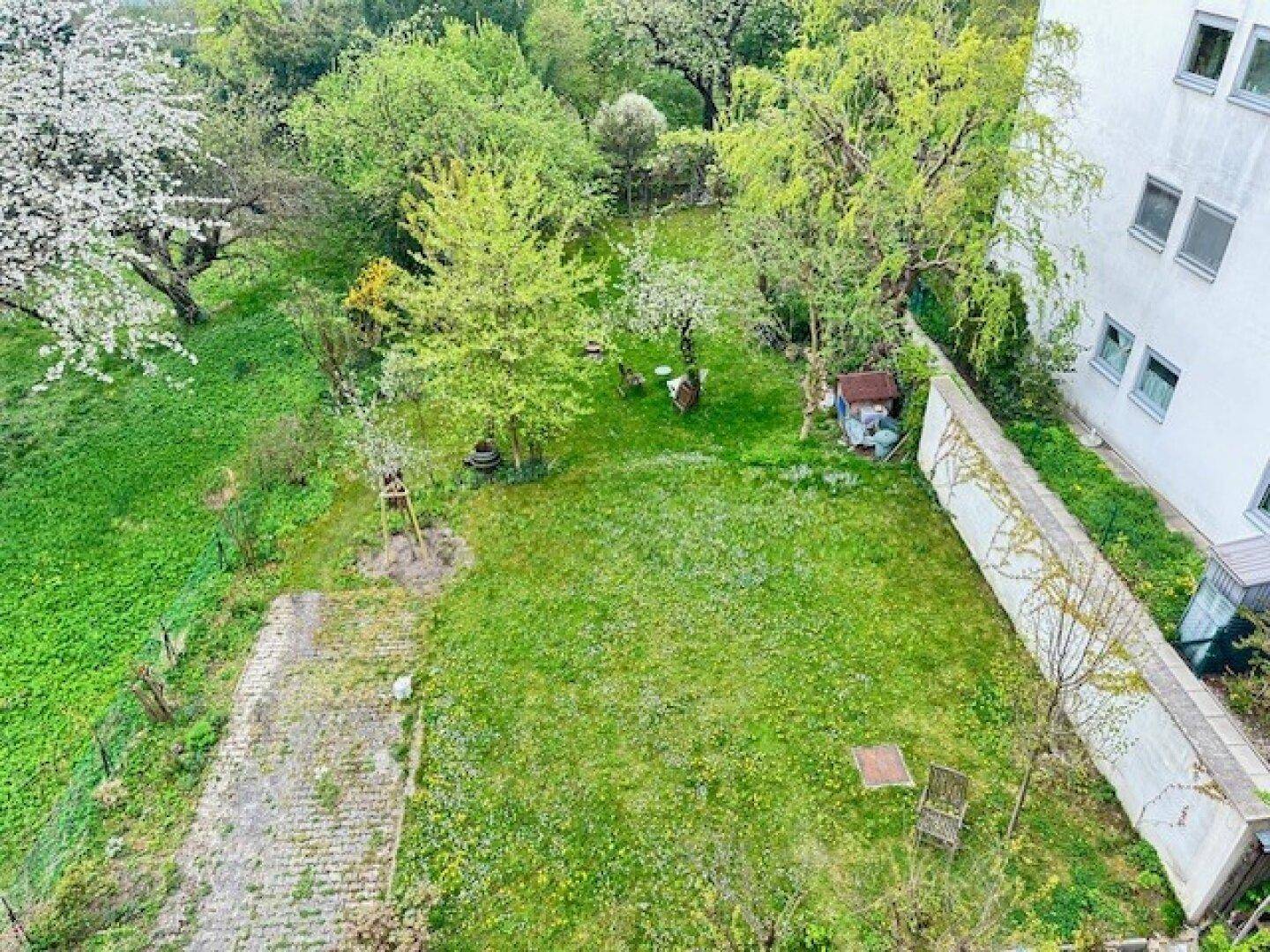 Grüner Gartenbereich mit Rasenfläche, Bäumen und einfacher Bestuhlung, von oben betrachtet.