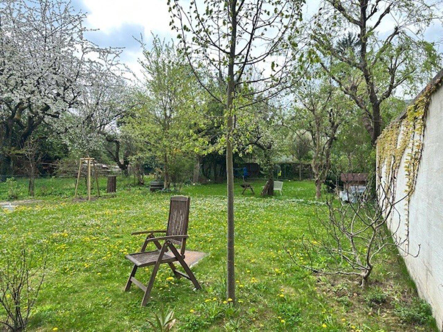 Grüner Garten mit Rasenfläche, Bäumen und einem Holzstuhl, lädt zum Entspannen ein.