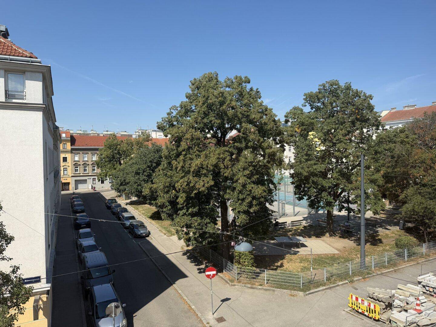 Weitblick über eine Straße mit Bäumen, parkenden Autos und einem Sportplatz im Hintergrund.