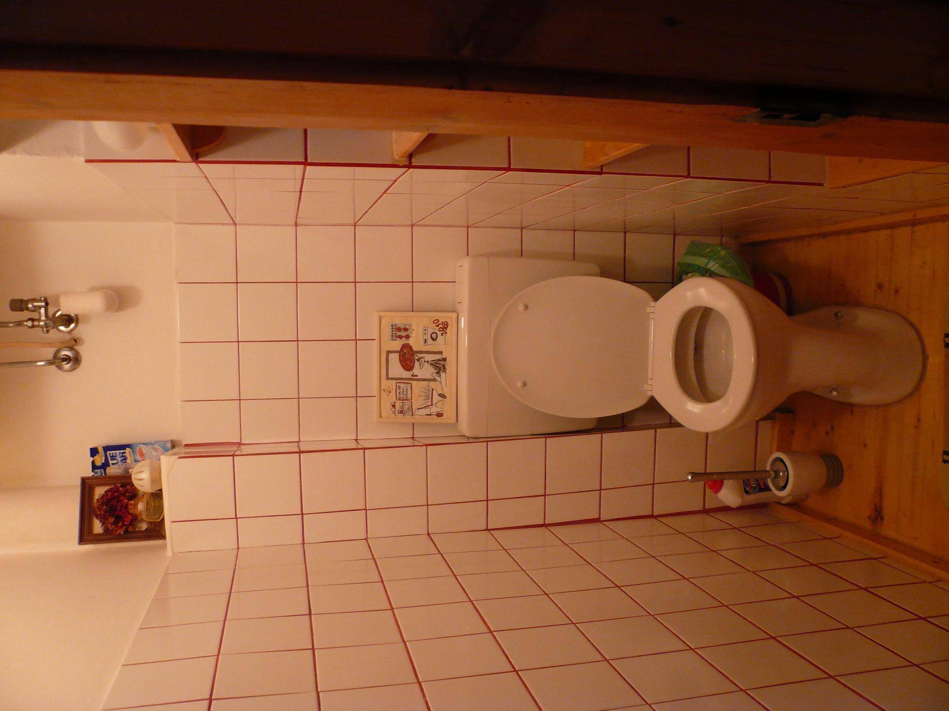 Separates WC mit weißen Fliesen und roter Fugenfarbe, einfach ausgestattet.