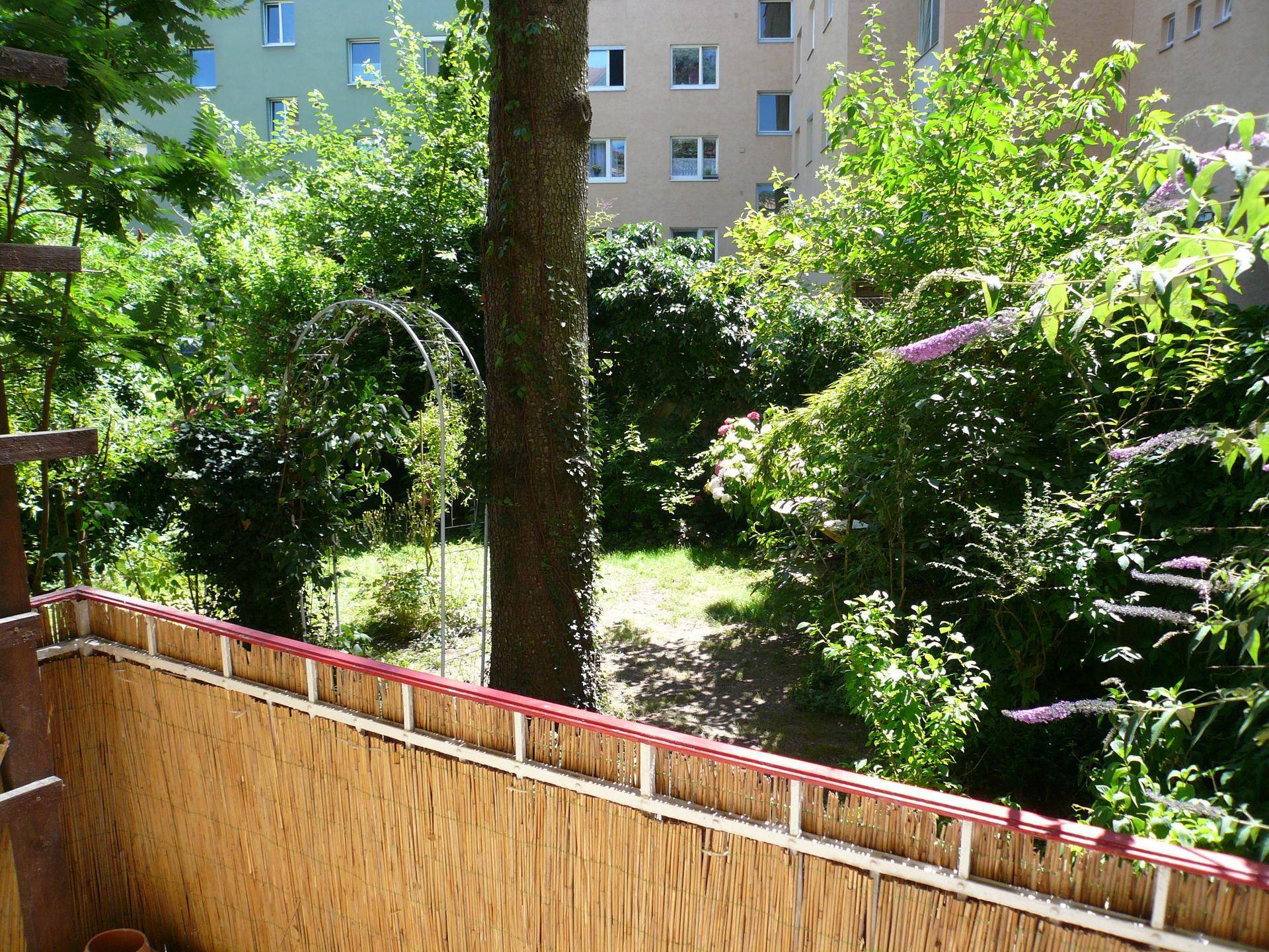Blick von einem Balkon in einen grünen, baumbestandenen Garten mit üppiger Vegetation.