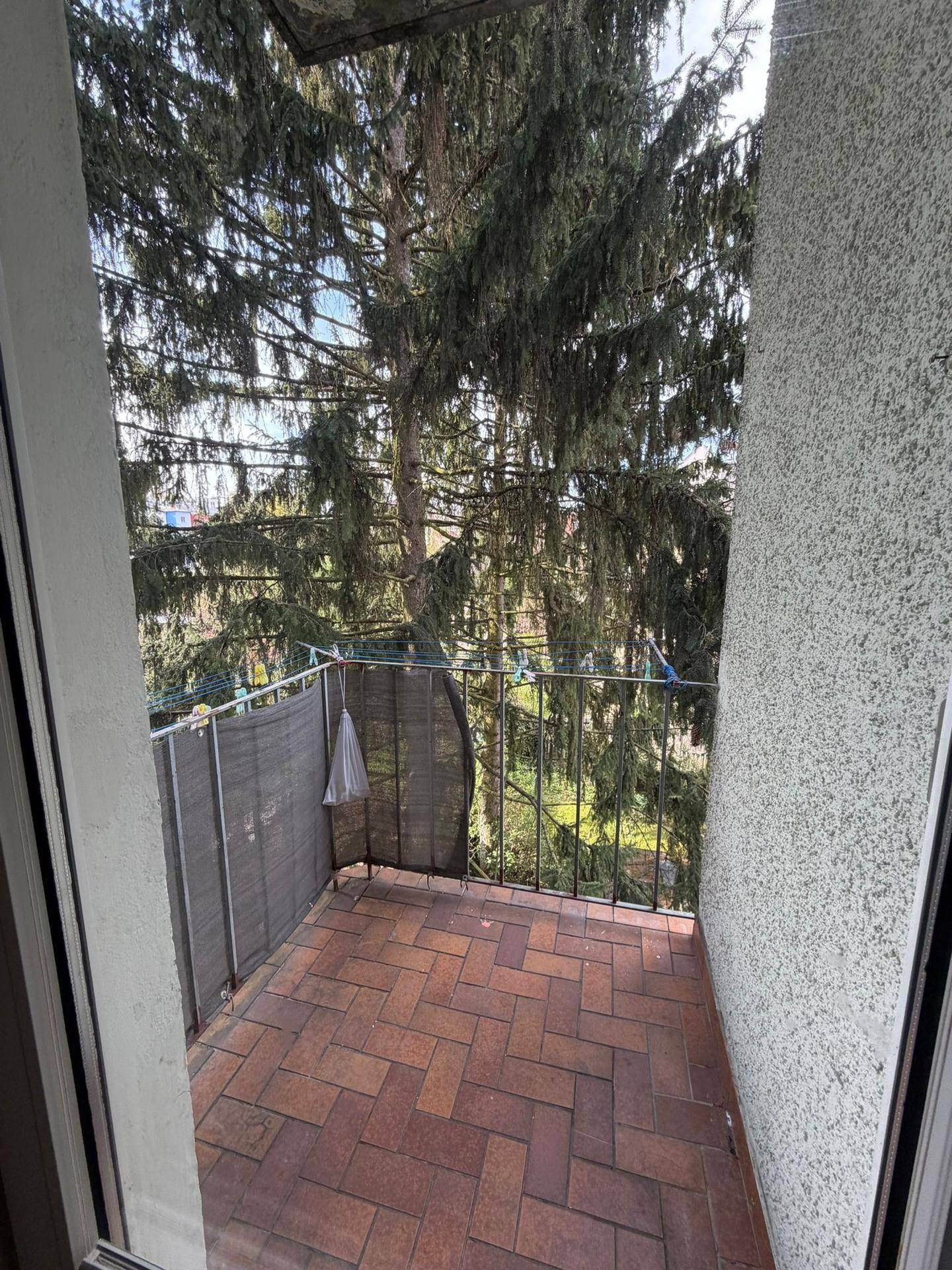 Kleiner Balkon mit Fliesenboden und Blick ins Grüne, umgeben von hohen Bäumen.